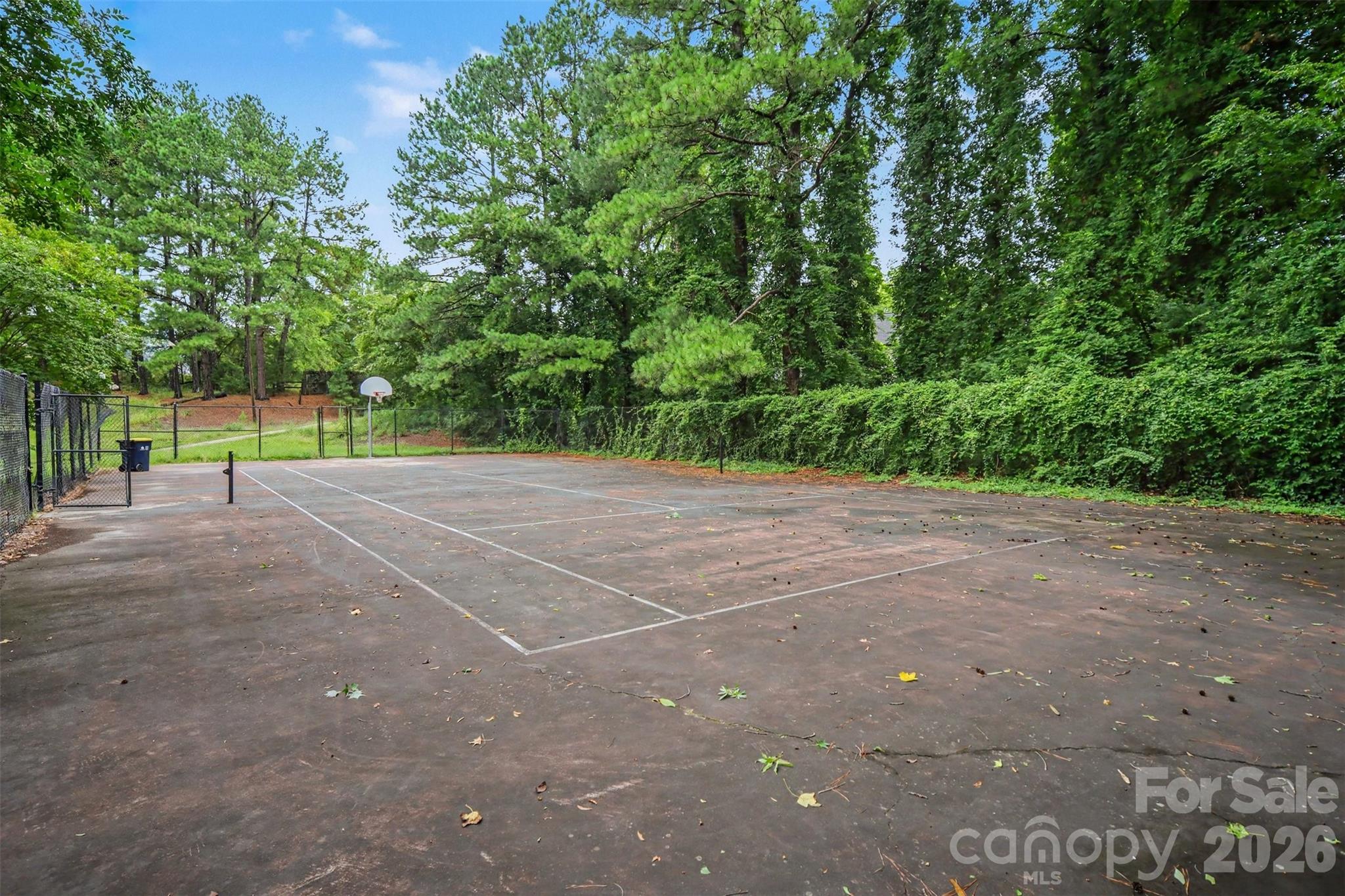 8500 Woodhill Manor Court Property Photo 48