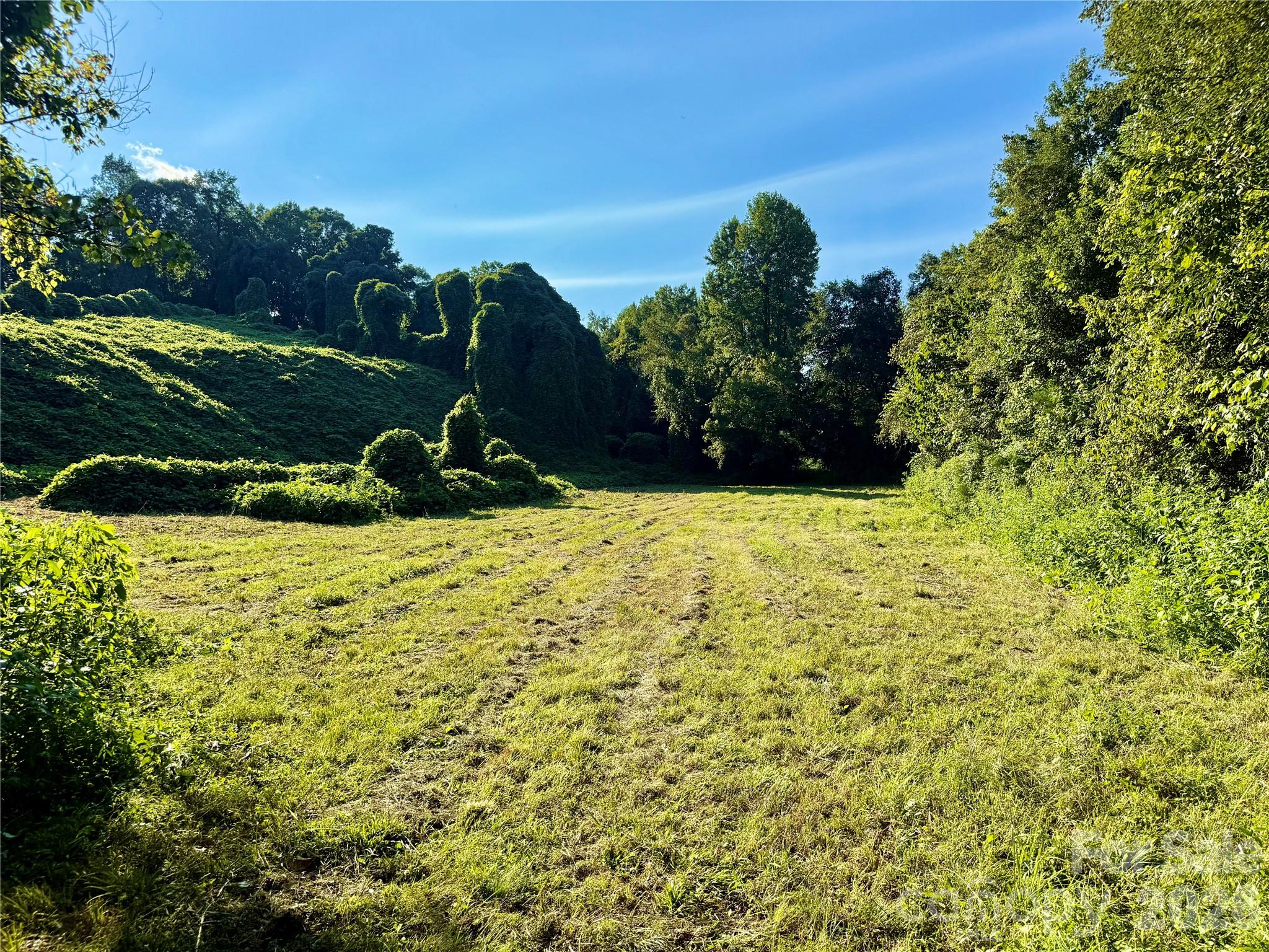 6494 W Us Highway 64 Highway Property Photo 32