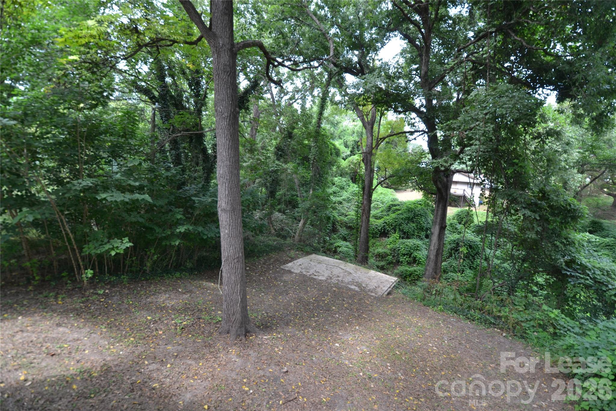 406 W 9th Street Property Photo 23