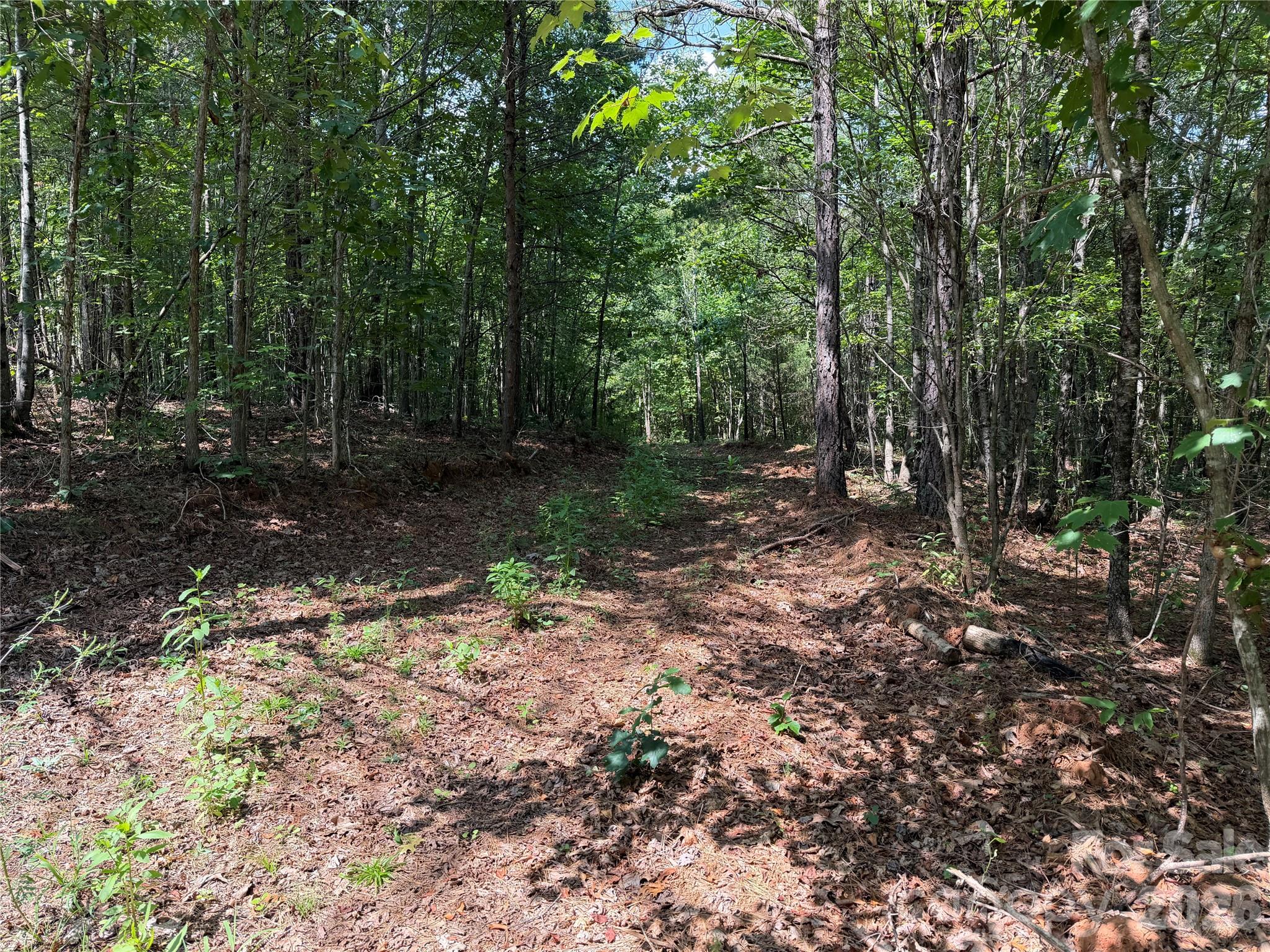 6356 Sunny Ridge Lane Property Photo 4