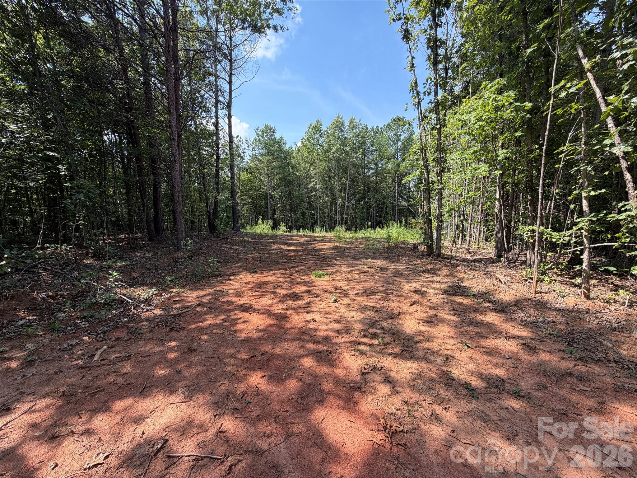 6356 Sunny Ridge Lane Property Photo 5