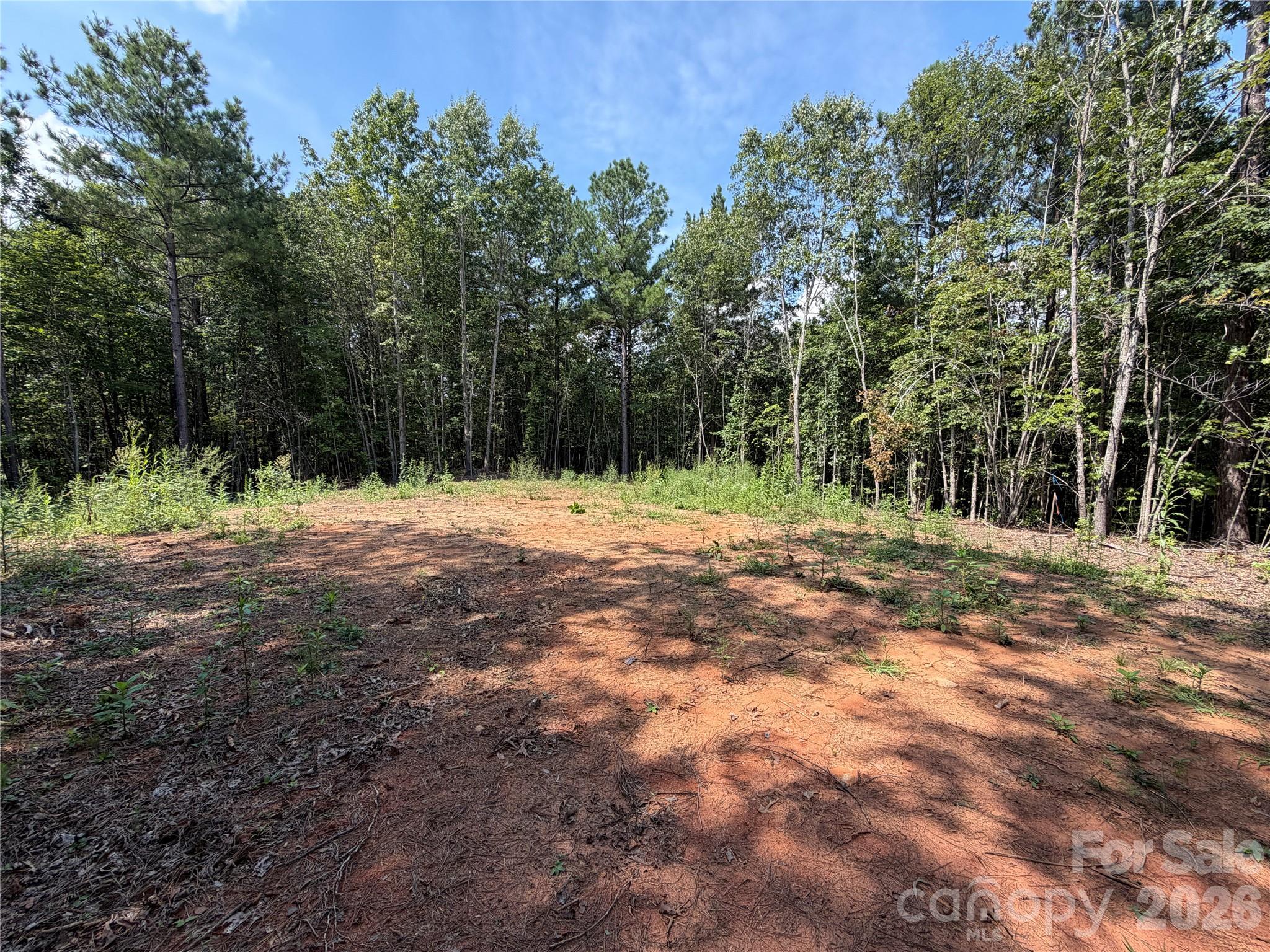 6356 Sunny Ridge Lane Property Photo 6
