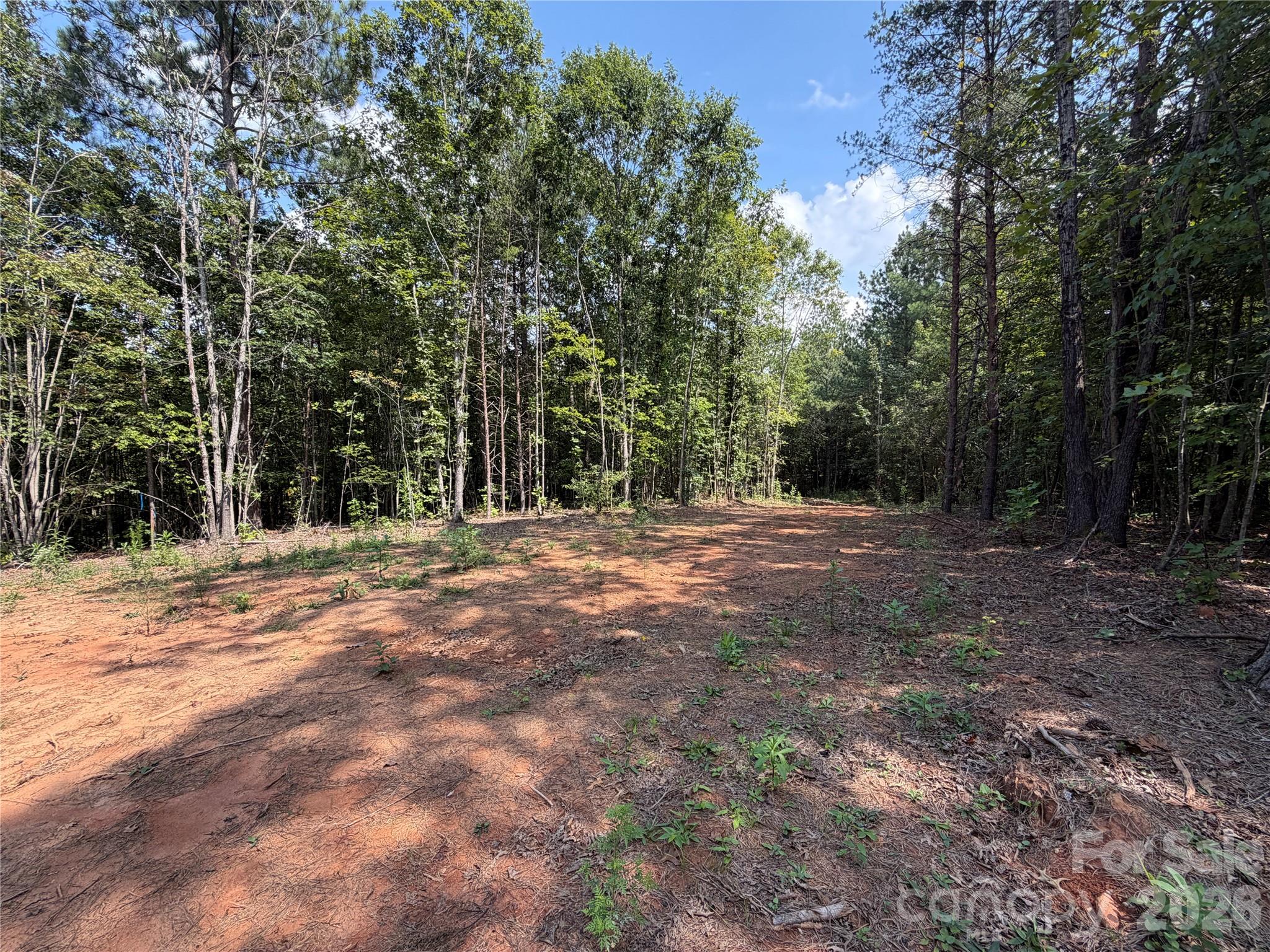 6356 Sunny Ridge Lane Property Photo 7