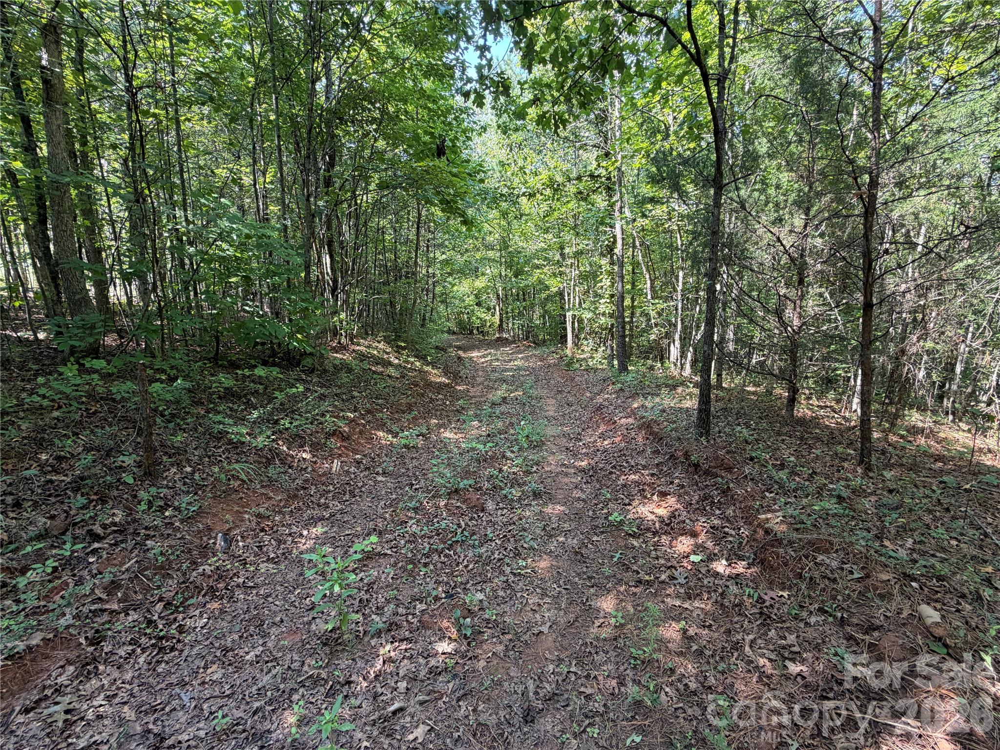 6356 Sunny Ridge Lane Property Photo 8