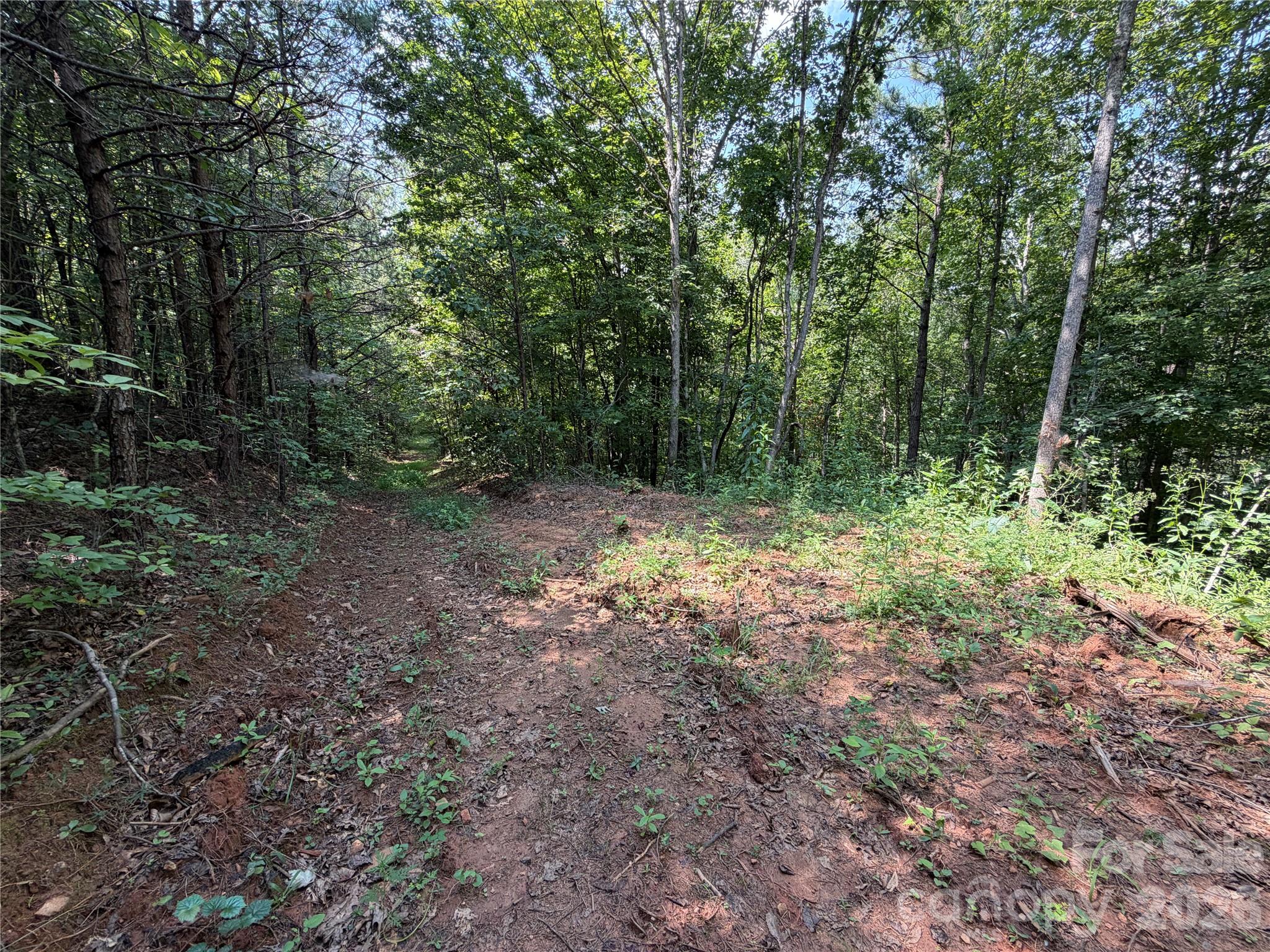 6356 Sunny Ridge Lane Property Photo 11