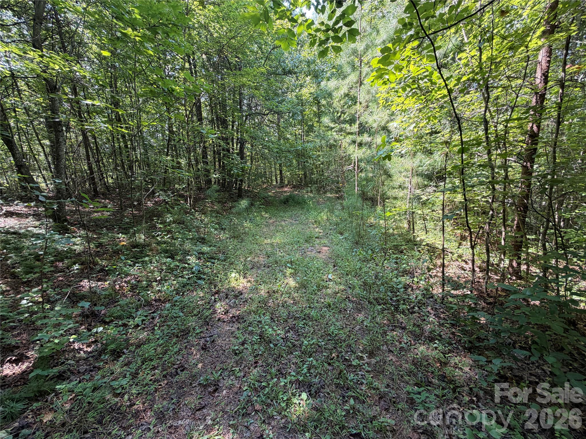 6356 Sunny Ridge Lane Property Photo 12