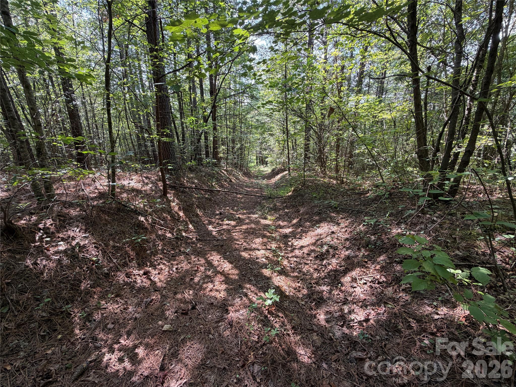 6356 Sunny Ridge Lane Property Photo 13