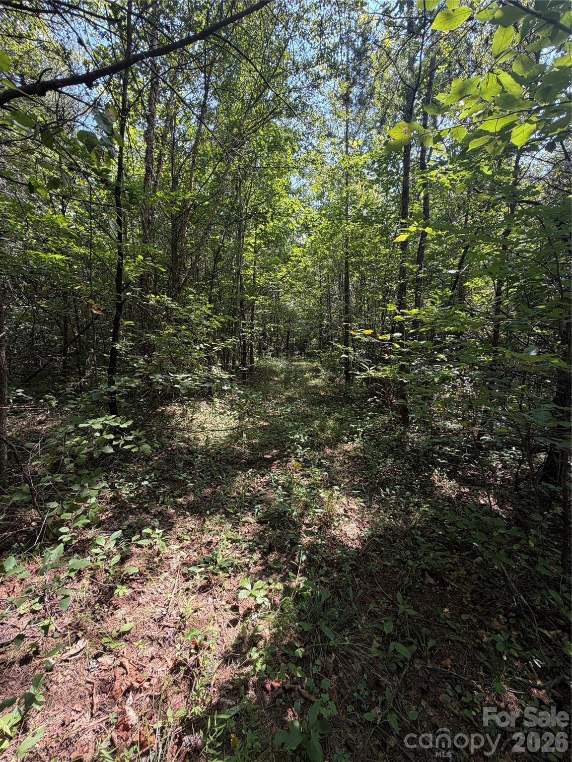 6356 Sunny Ridge Lane Property Photo 17