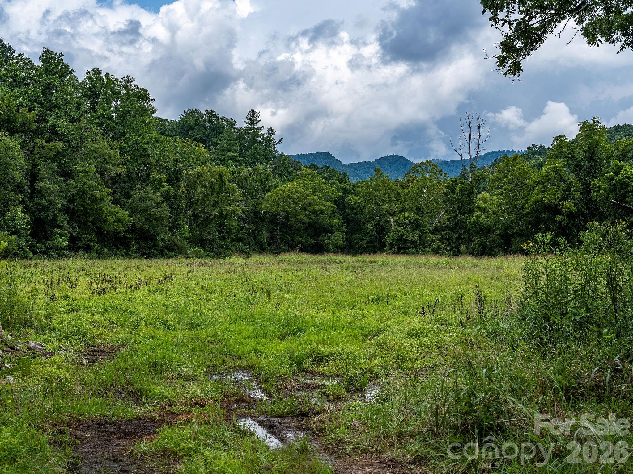 99999 Meadows Town Road Property Photo 8