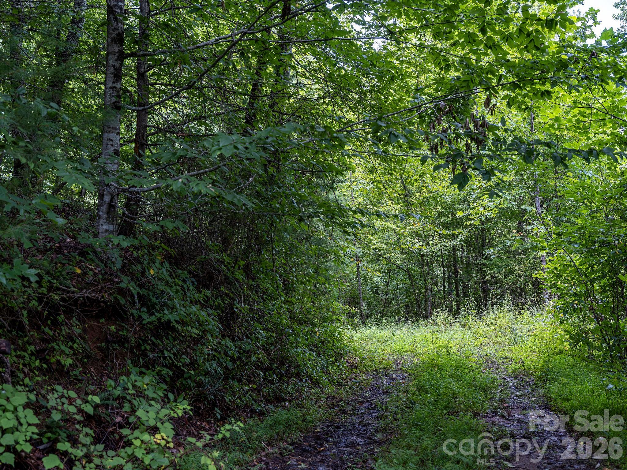 99999 Meadows Town Road Property Photo 25