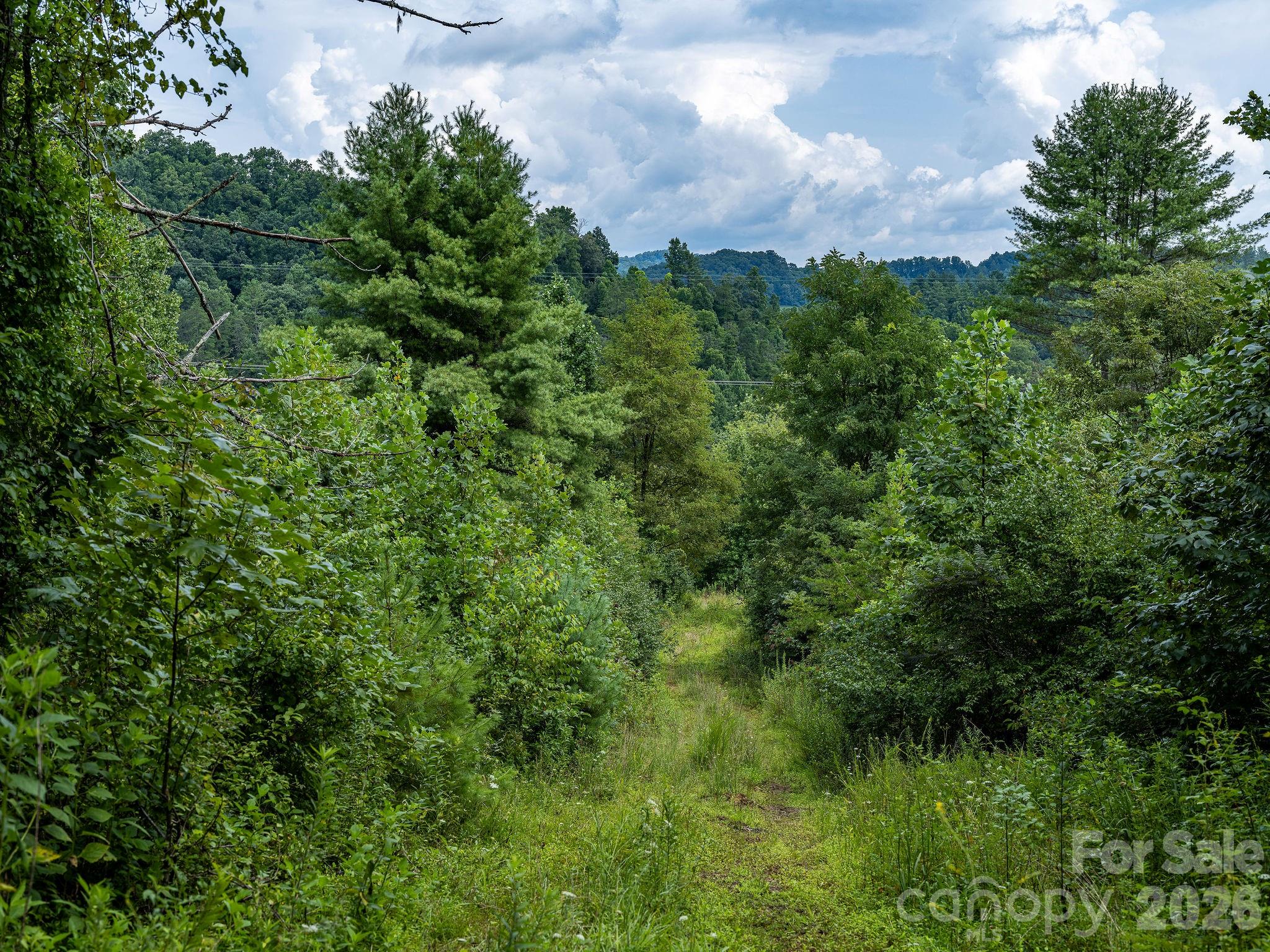 99999 Meadows Town Road Property Photo 27