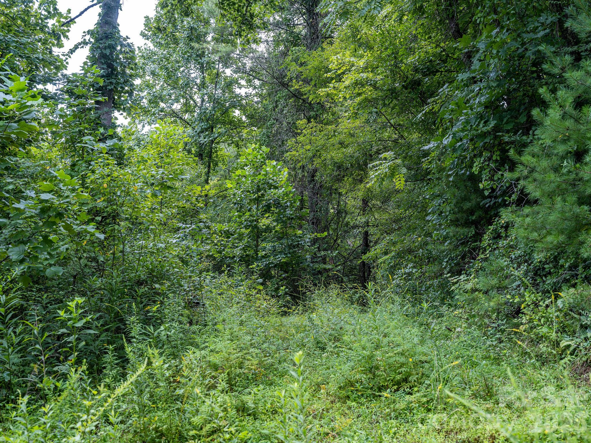 99999 Meadows Town Road Property Photo 29