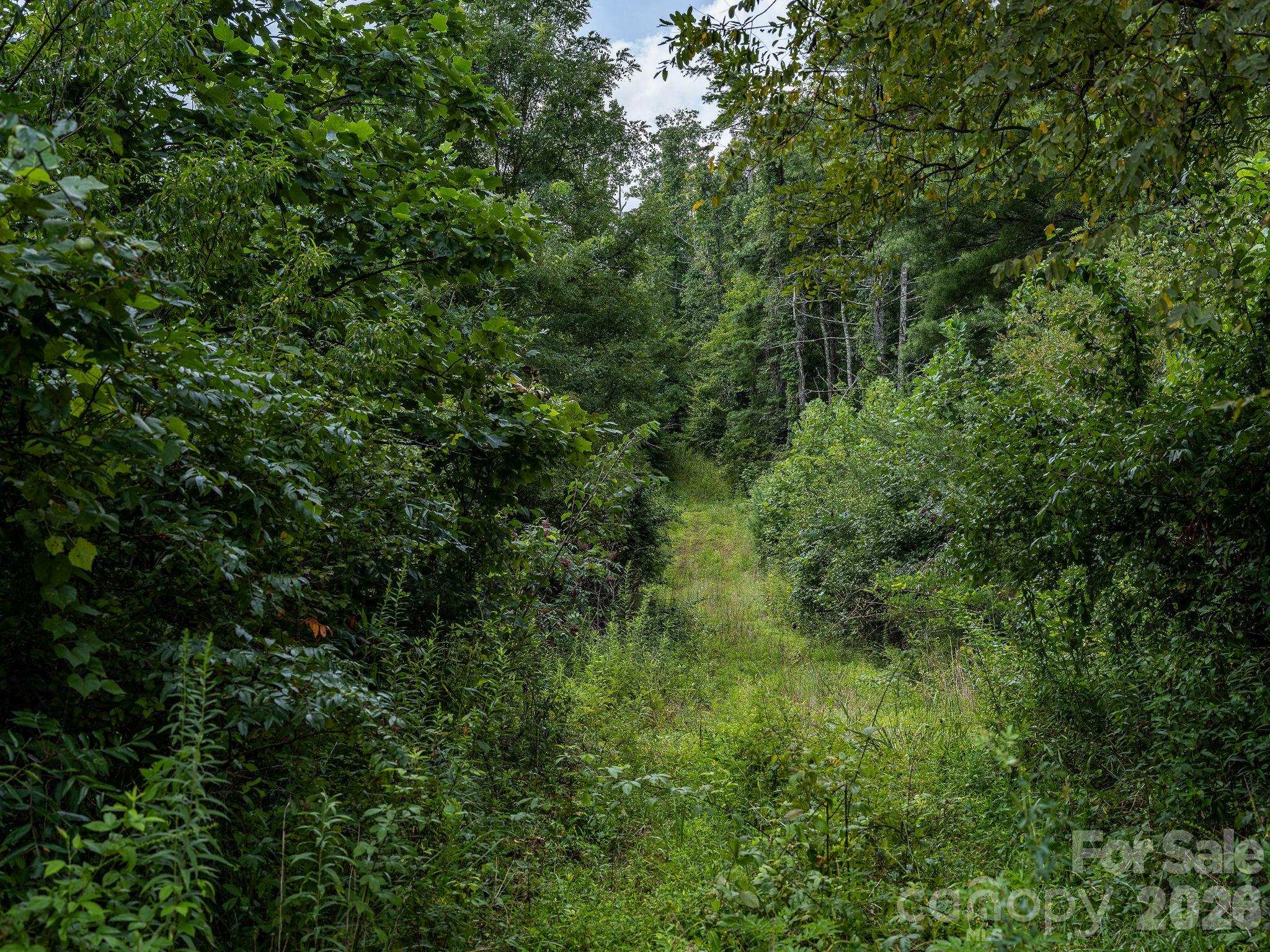 99999 Meadows Town Road Property Photo 30