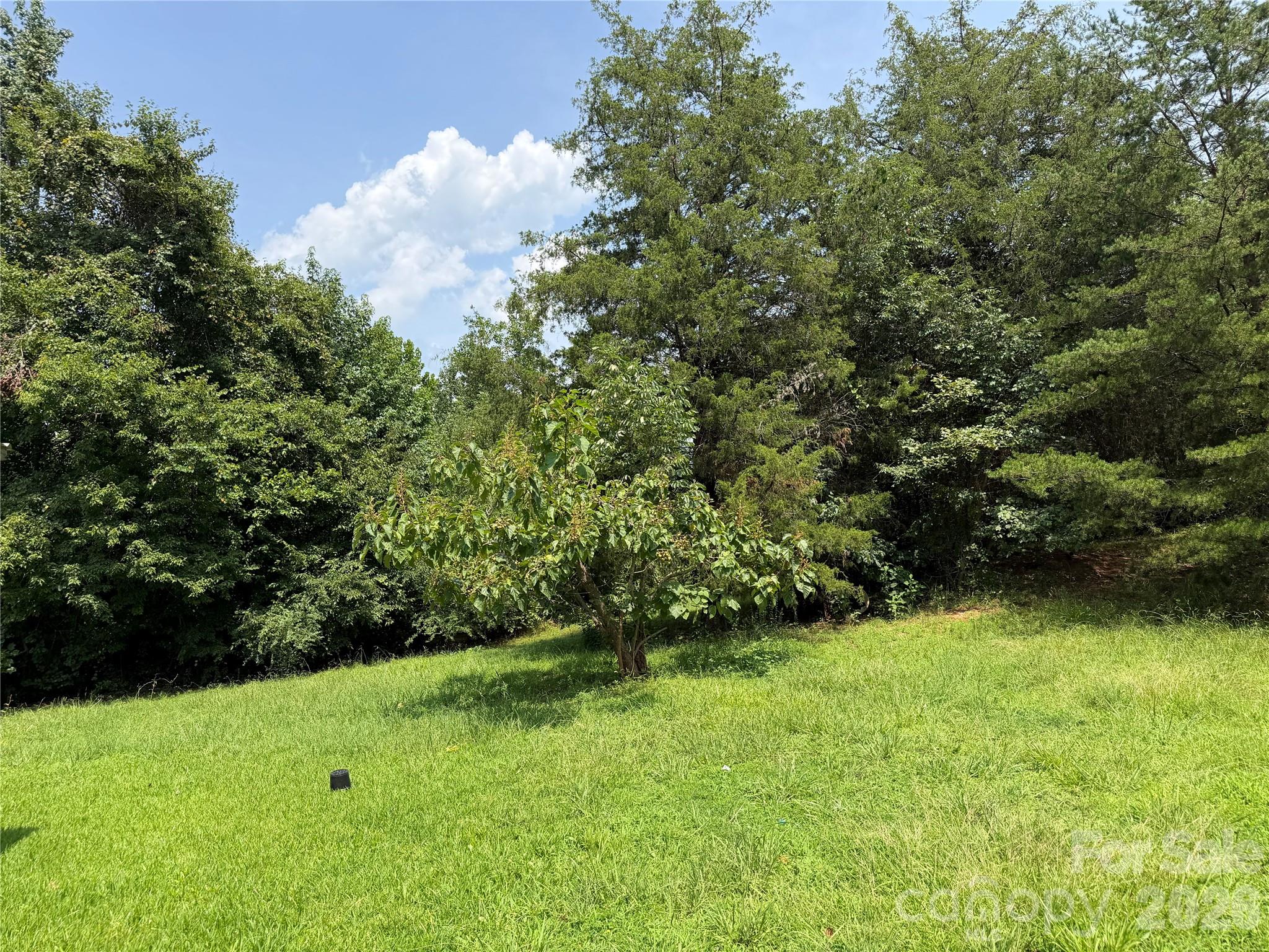 173 Billie Misty Road Property Photo 2