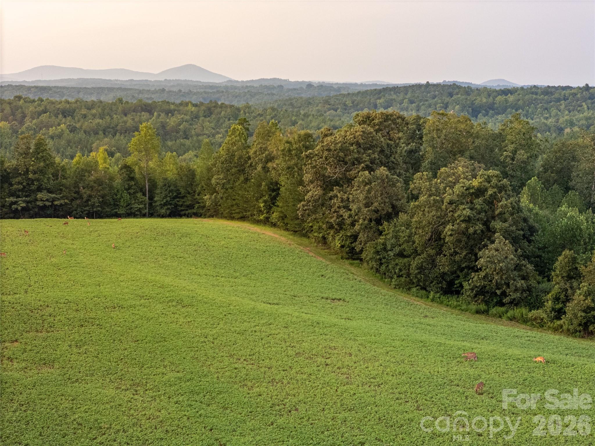 4013 Nc Hwy 18 Highway Property Photo 16