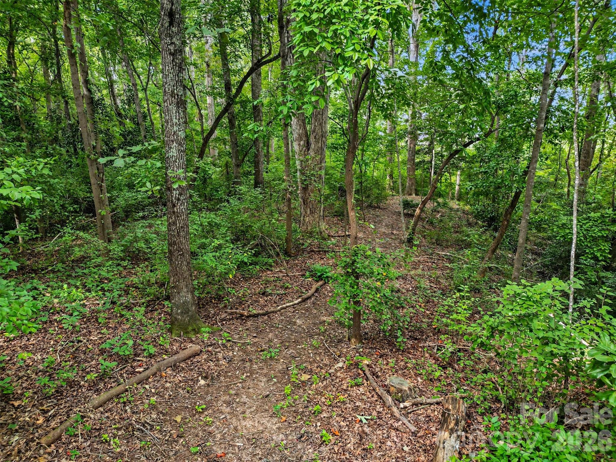 1042 Rosewood Drive Property Photo 40