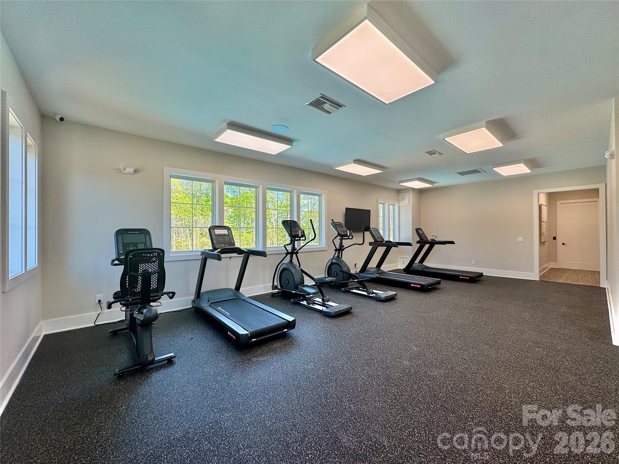 1621 Grassy Knoll Trail Property Photo 22