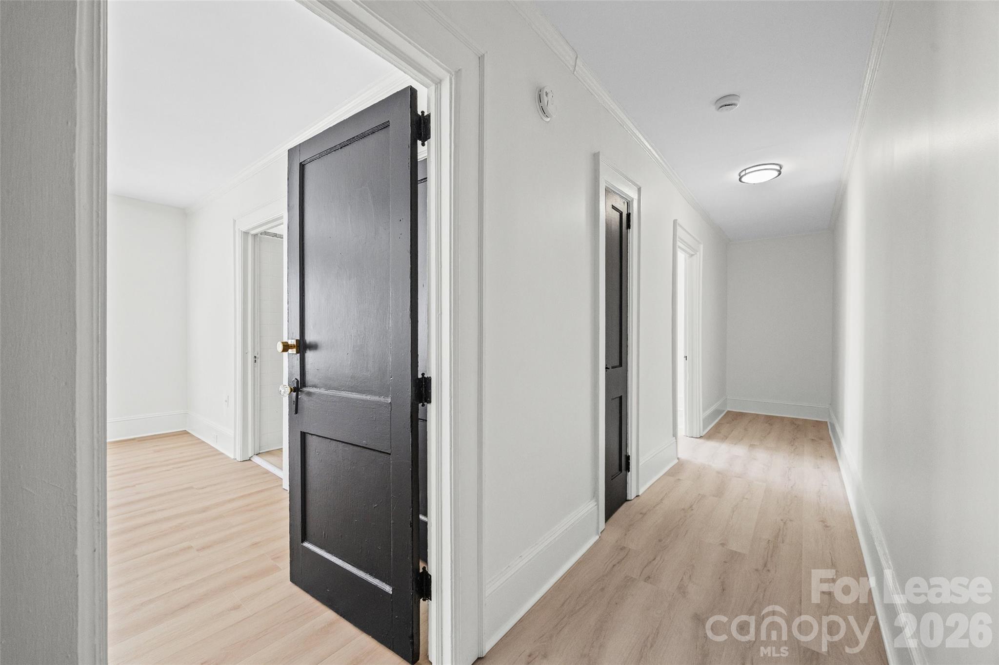 49 Corban Avenue 15 Property Photo 3