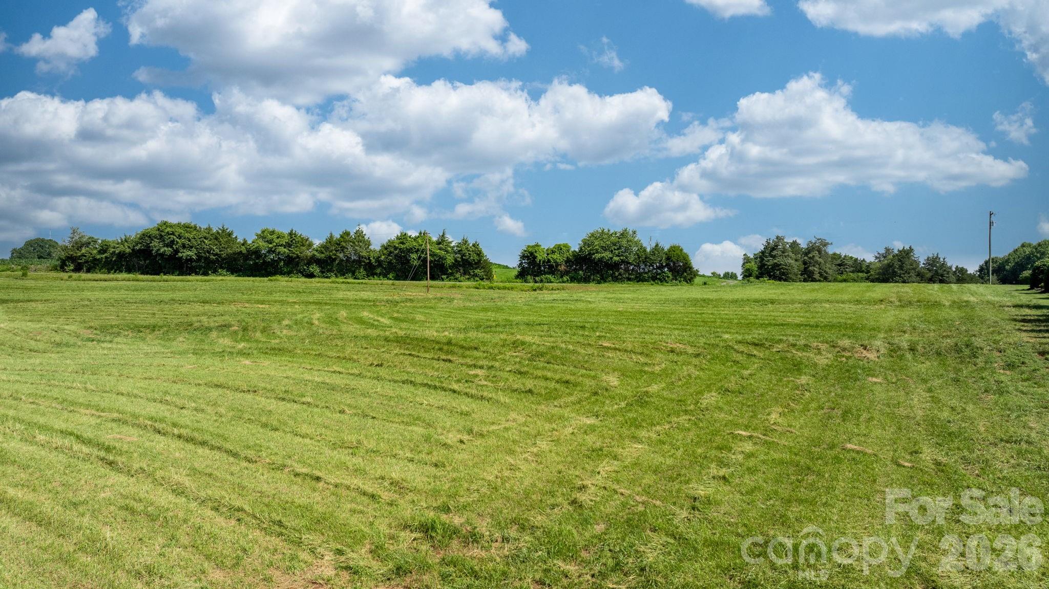 594 Rash Road Property Photo 14