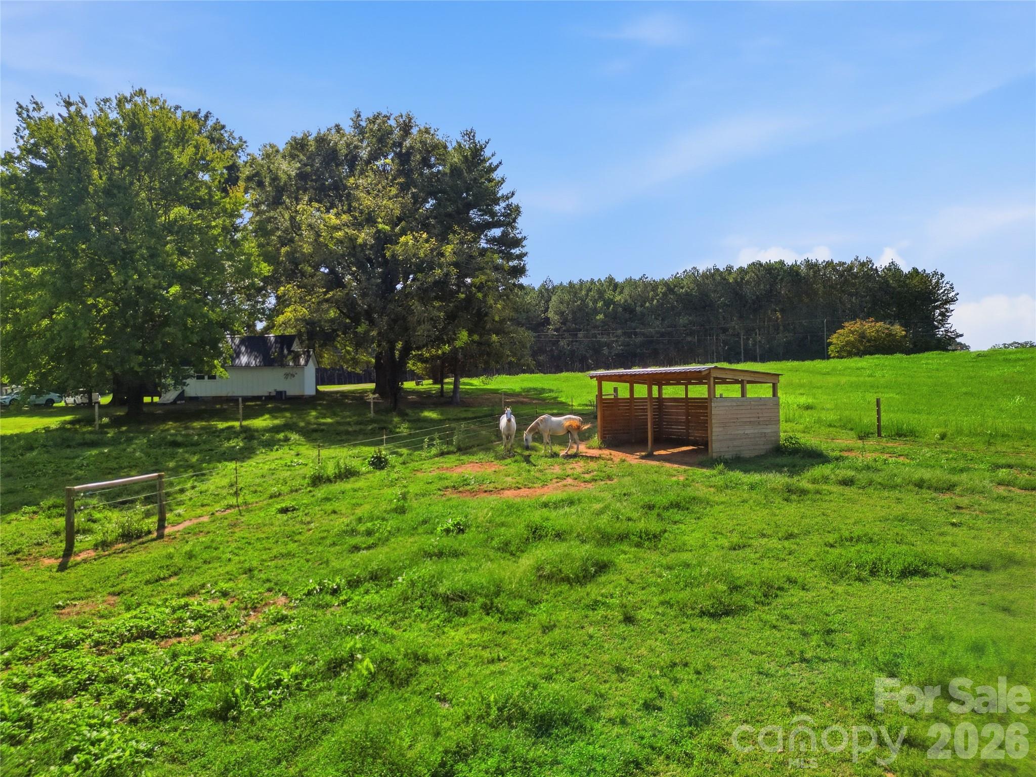594 Rash Road Property Photo 32