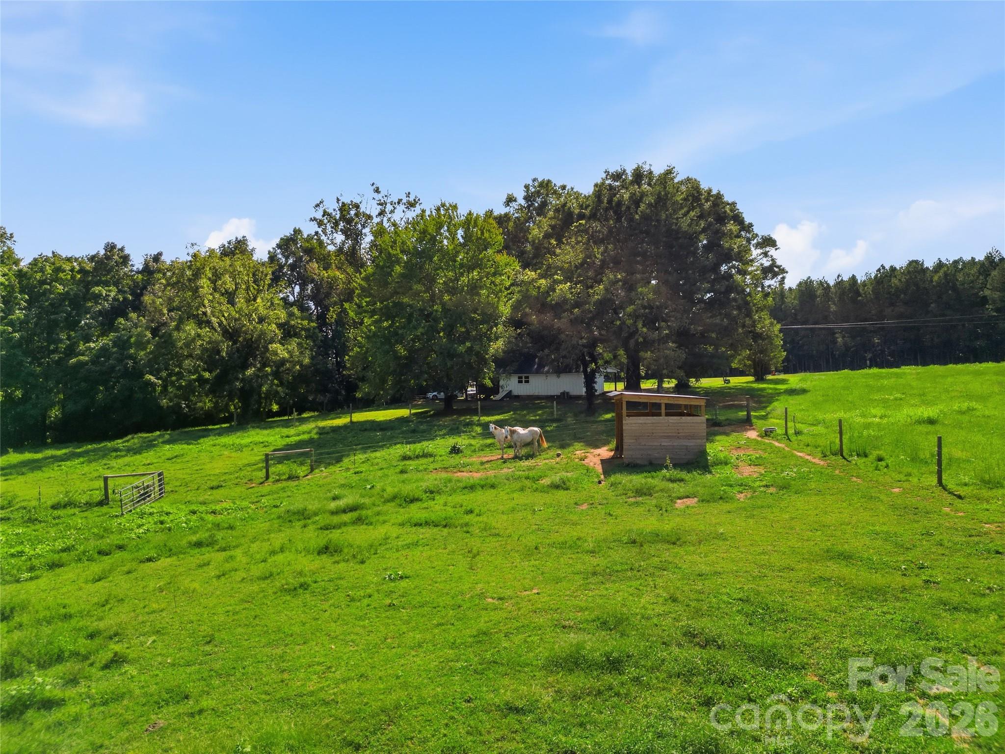 594 Rash Road Property Photo 33