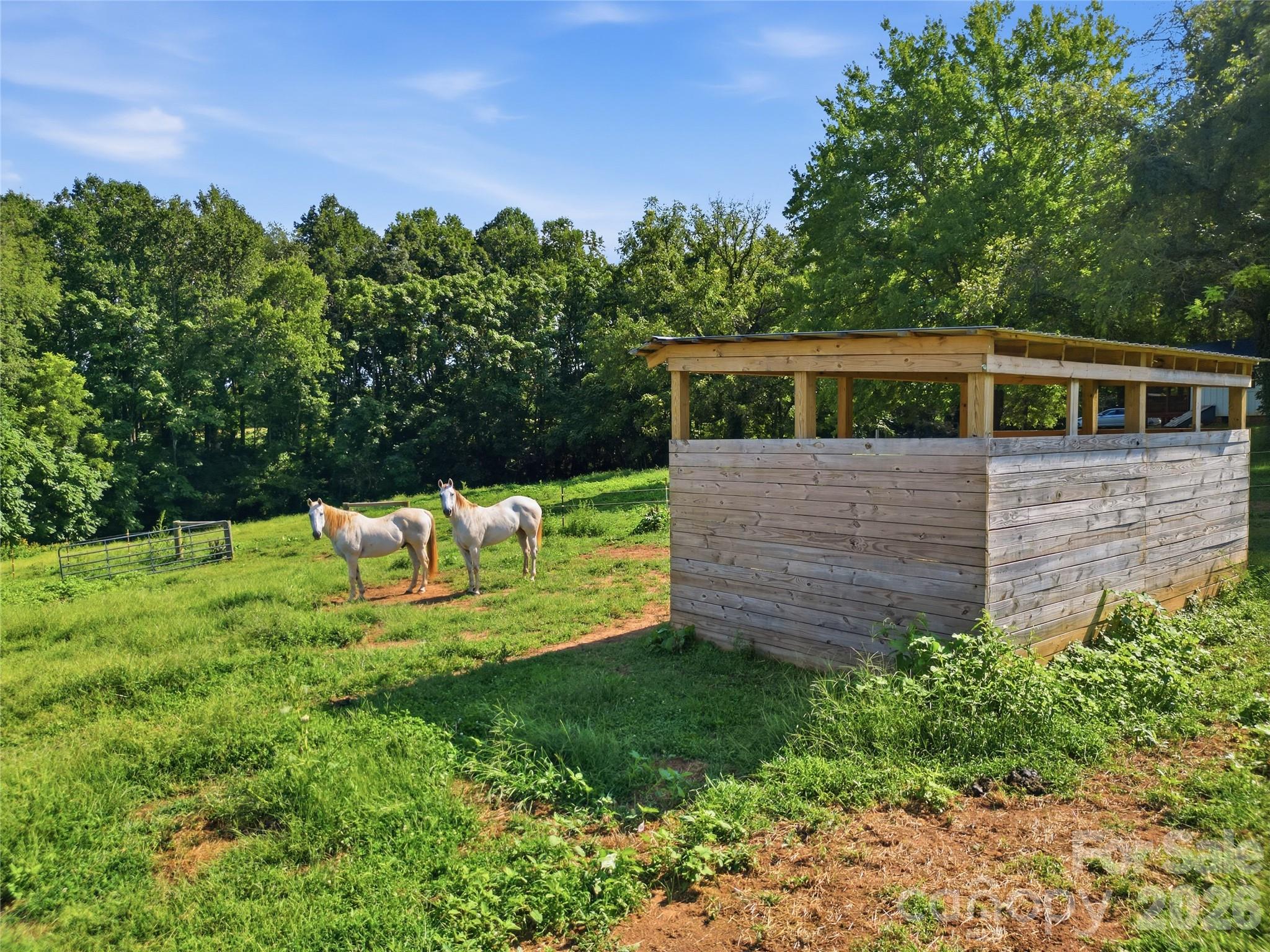 594 Rash Road Property Photo 35
