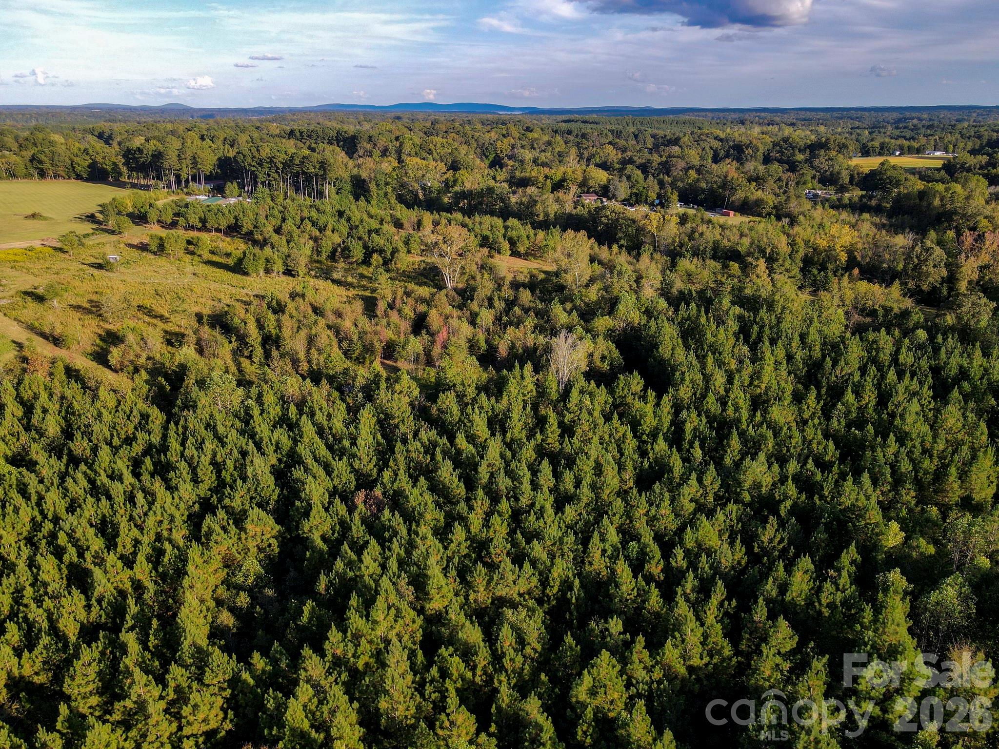 1175 Mccoy Farm Road Property Photo 3