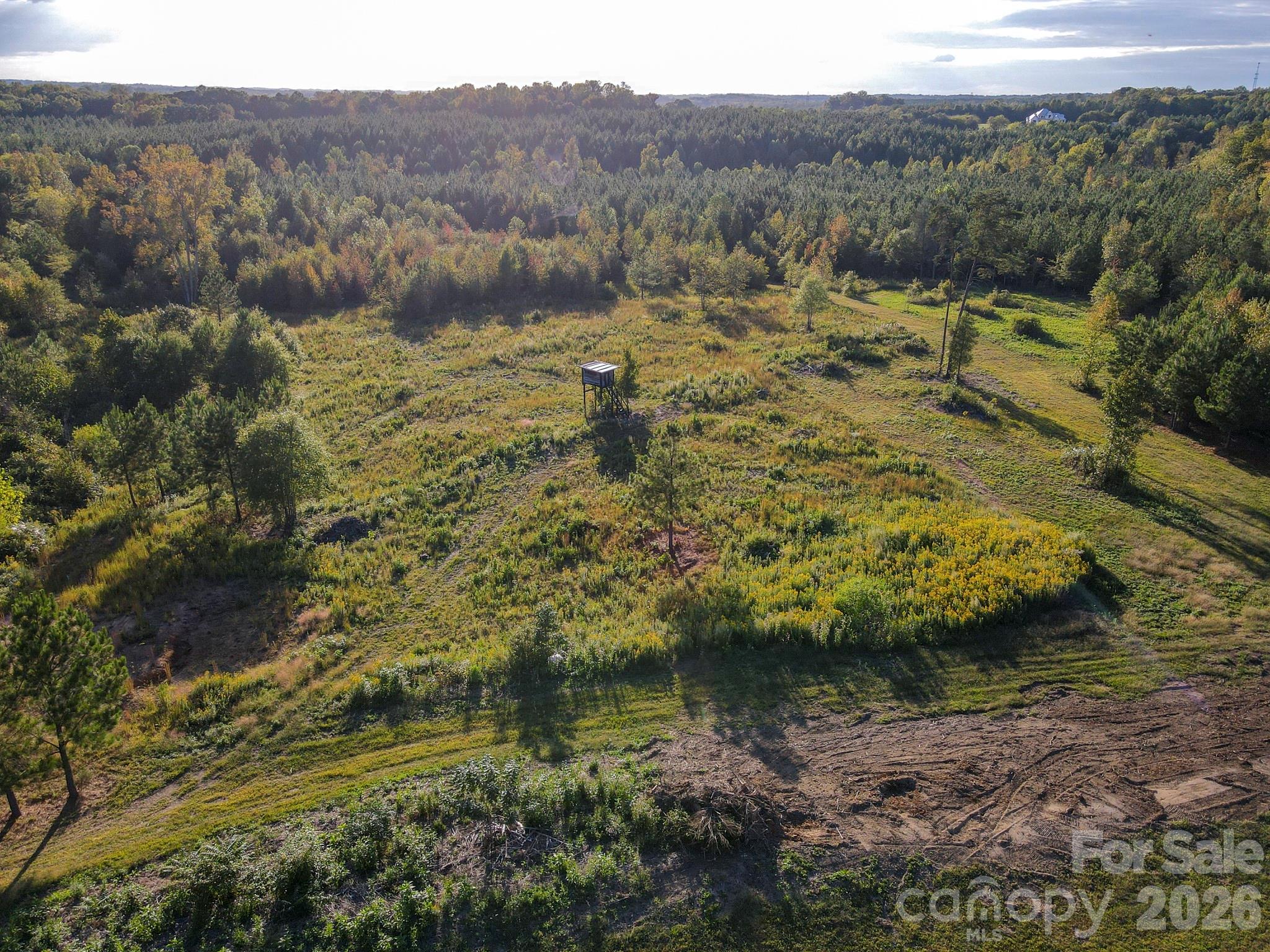1175 Mccoy Farm Road Property Photo 11