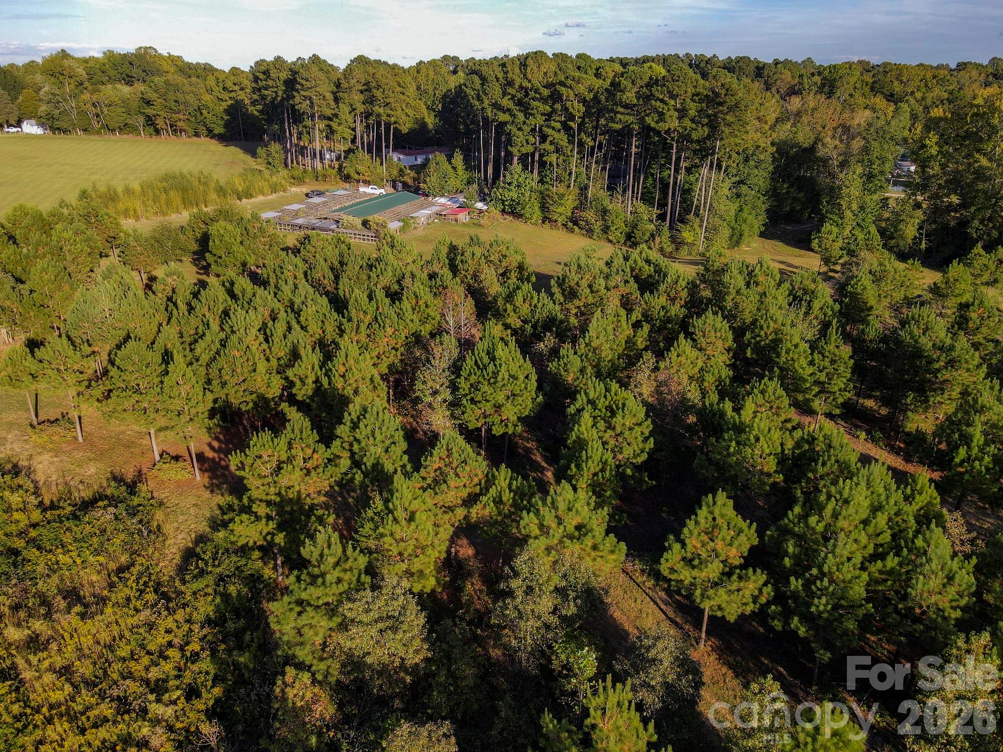 1175 Mccoy Farm Road Property Photo 12