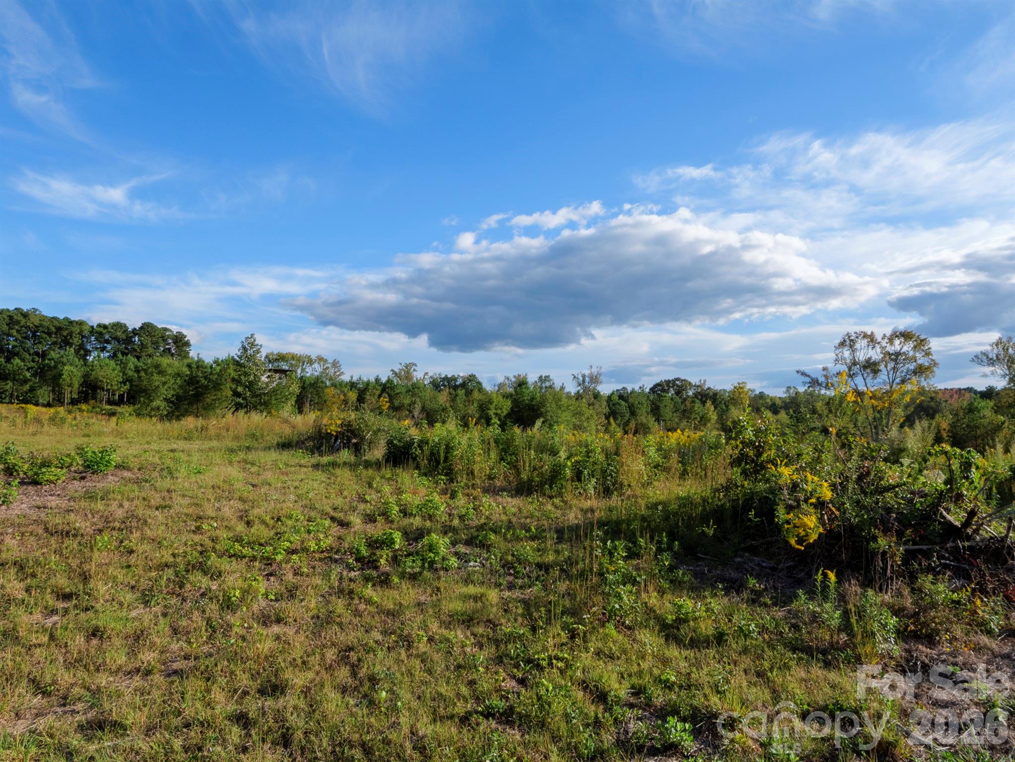 1175 Mccoy Farm Road Property Photo 13
