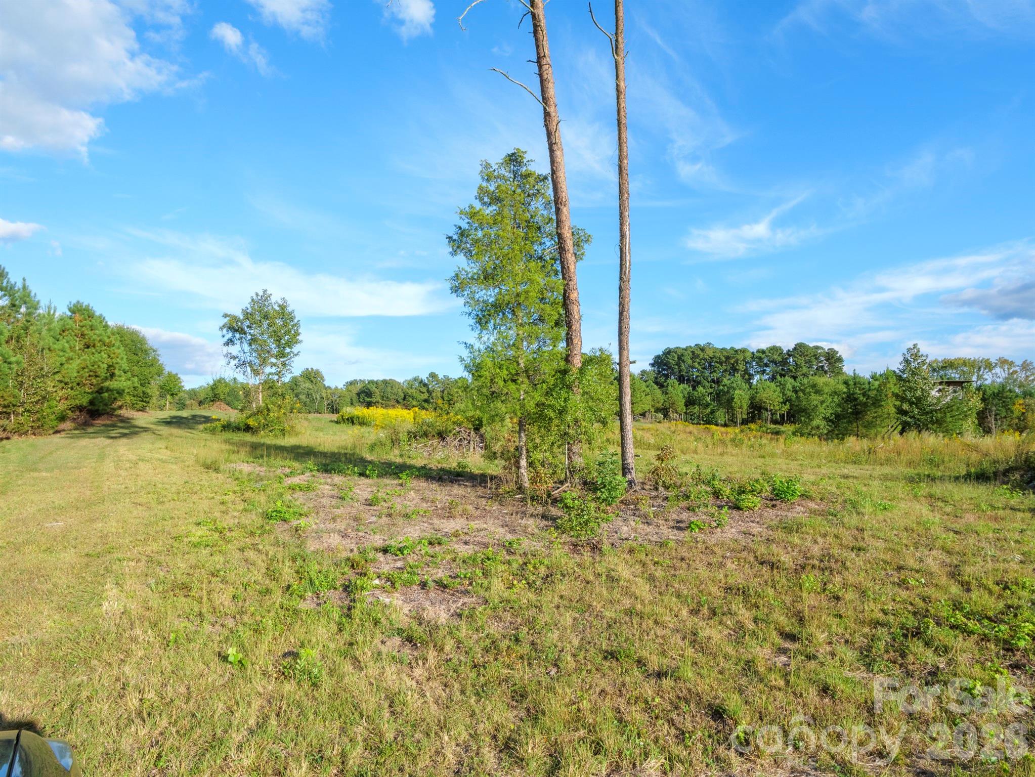 1175 Mccoy Farm Road Property Photo 14