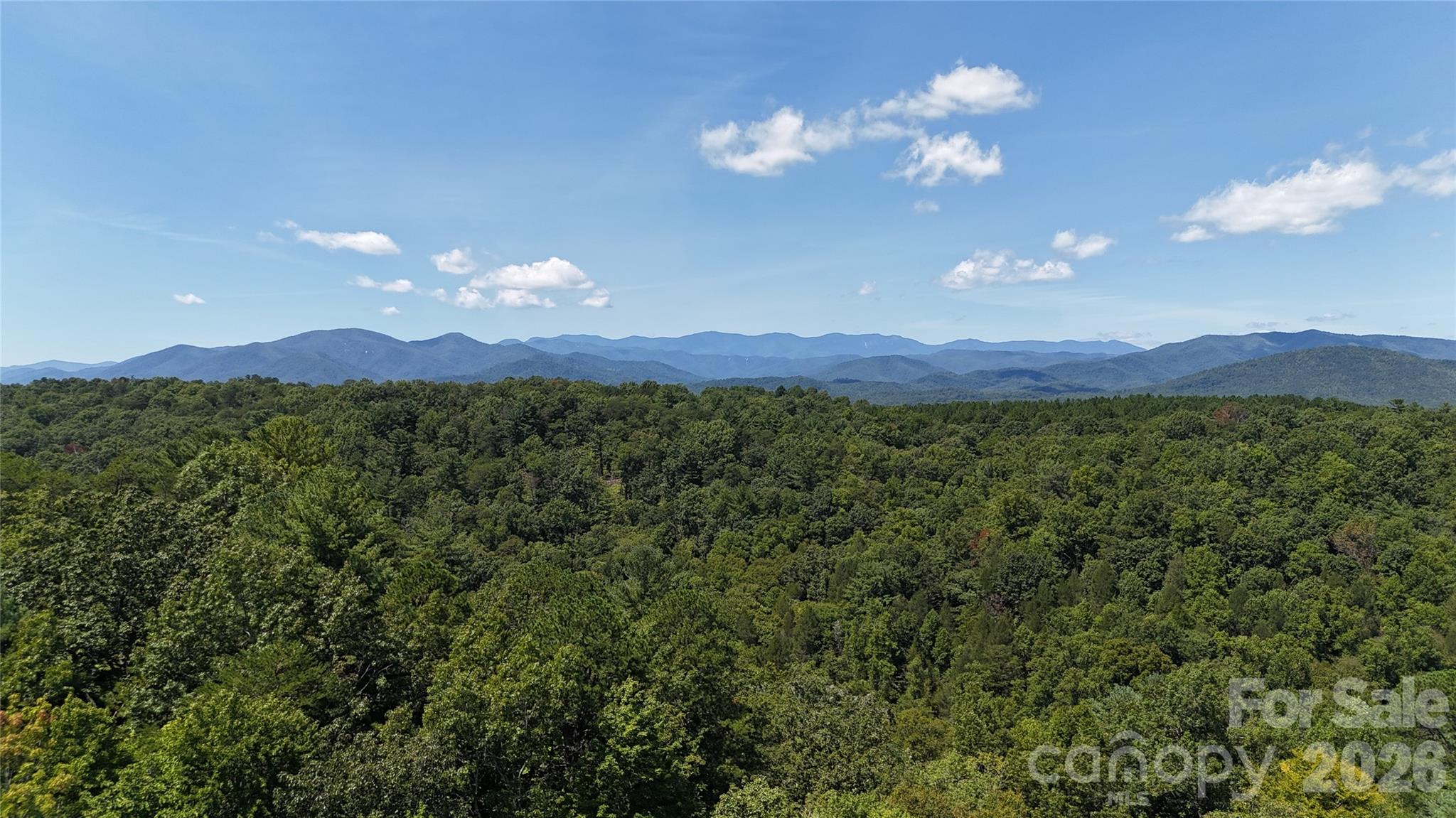 77 Raccoon Ridge Property Photo 9