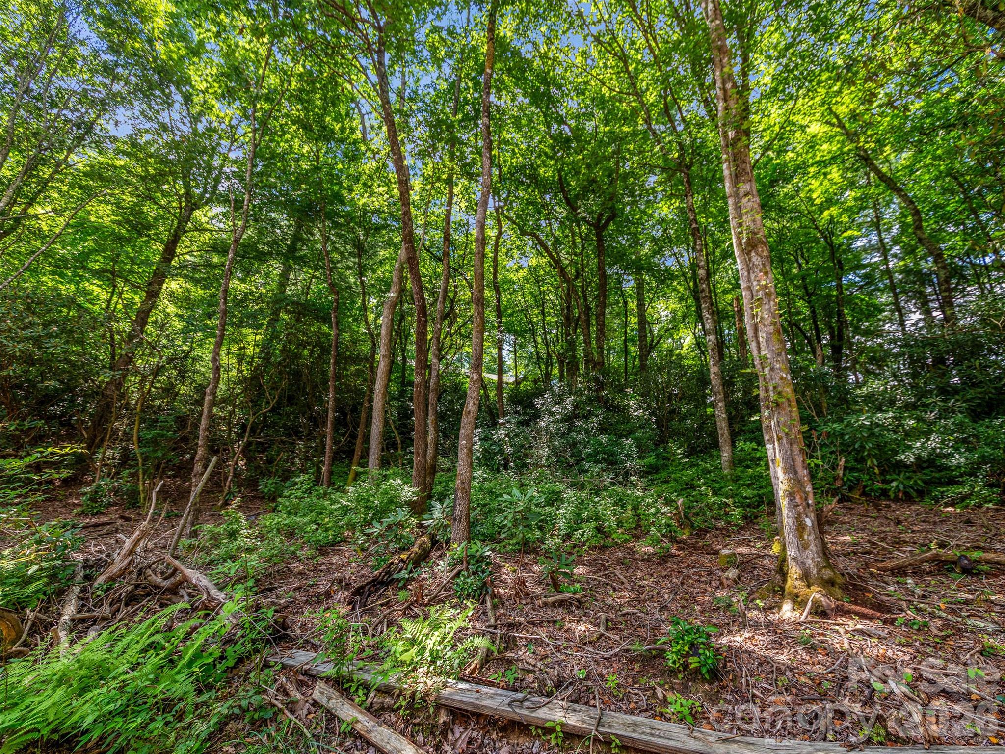 Tbd Seminole Way Property Photo 12