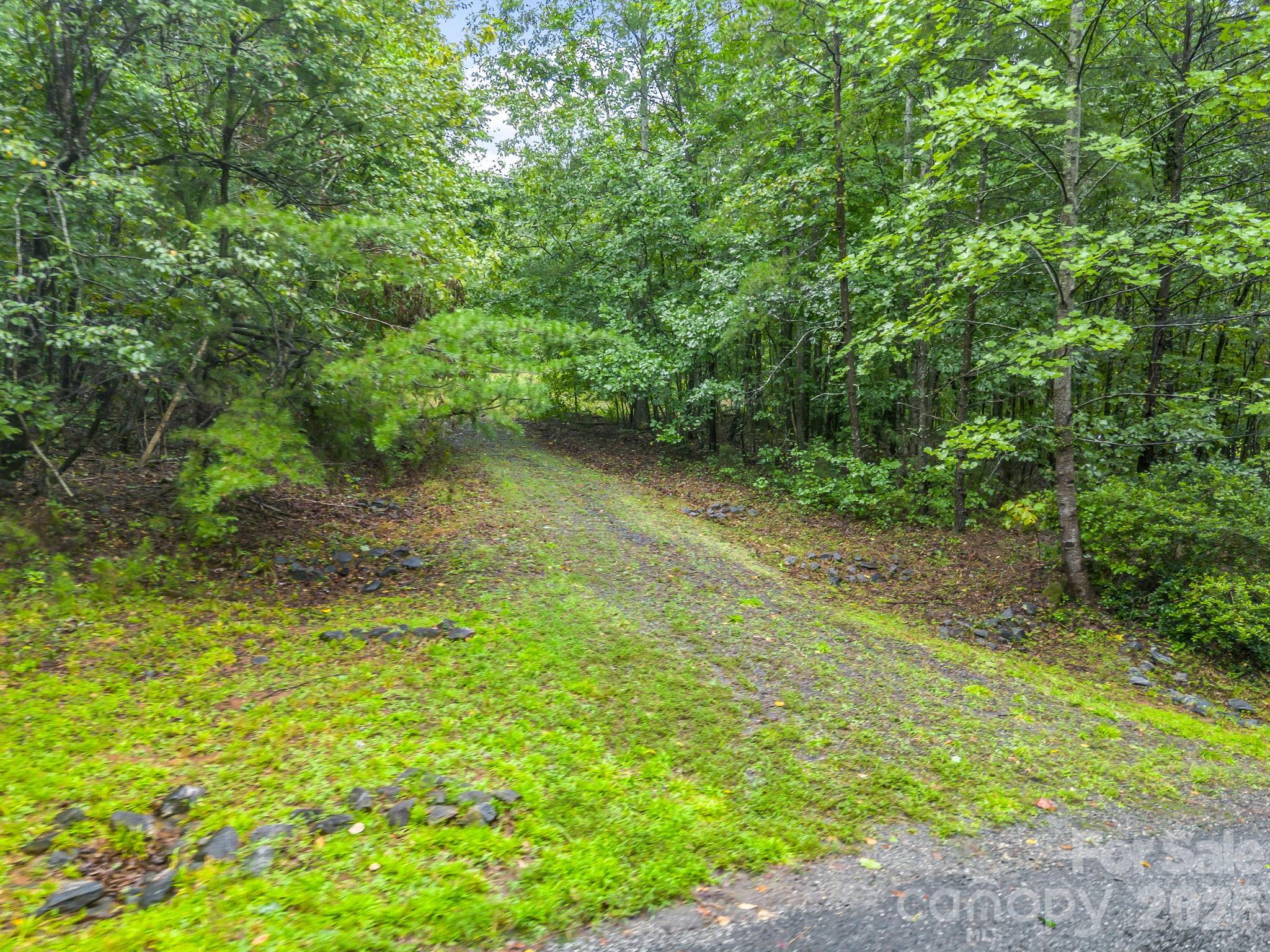 0 Observation Ridge Property Photo 4