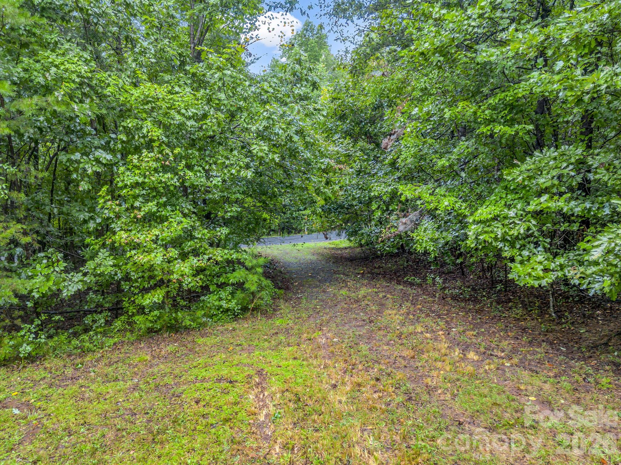 0 Observation Ridge Property Photo 7