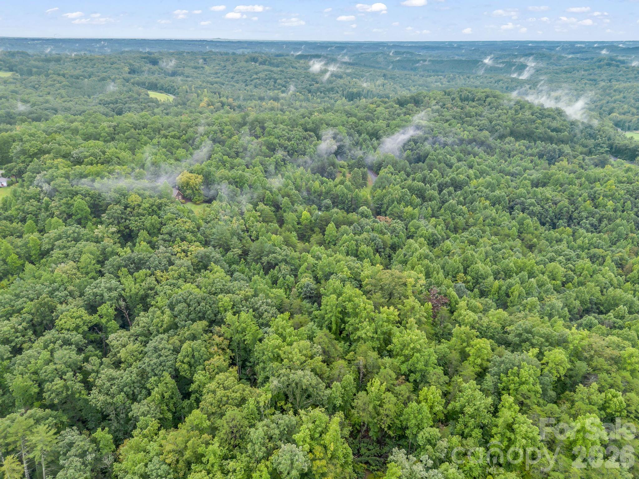 0 Observation Ridge Property Photo 13