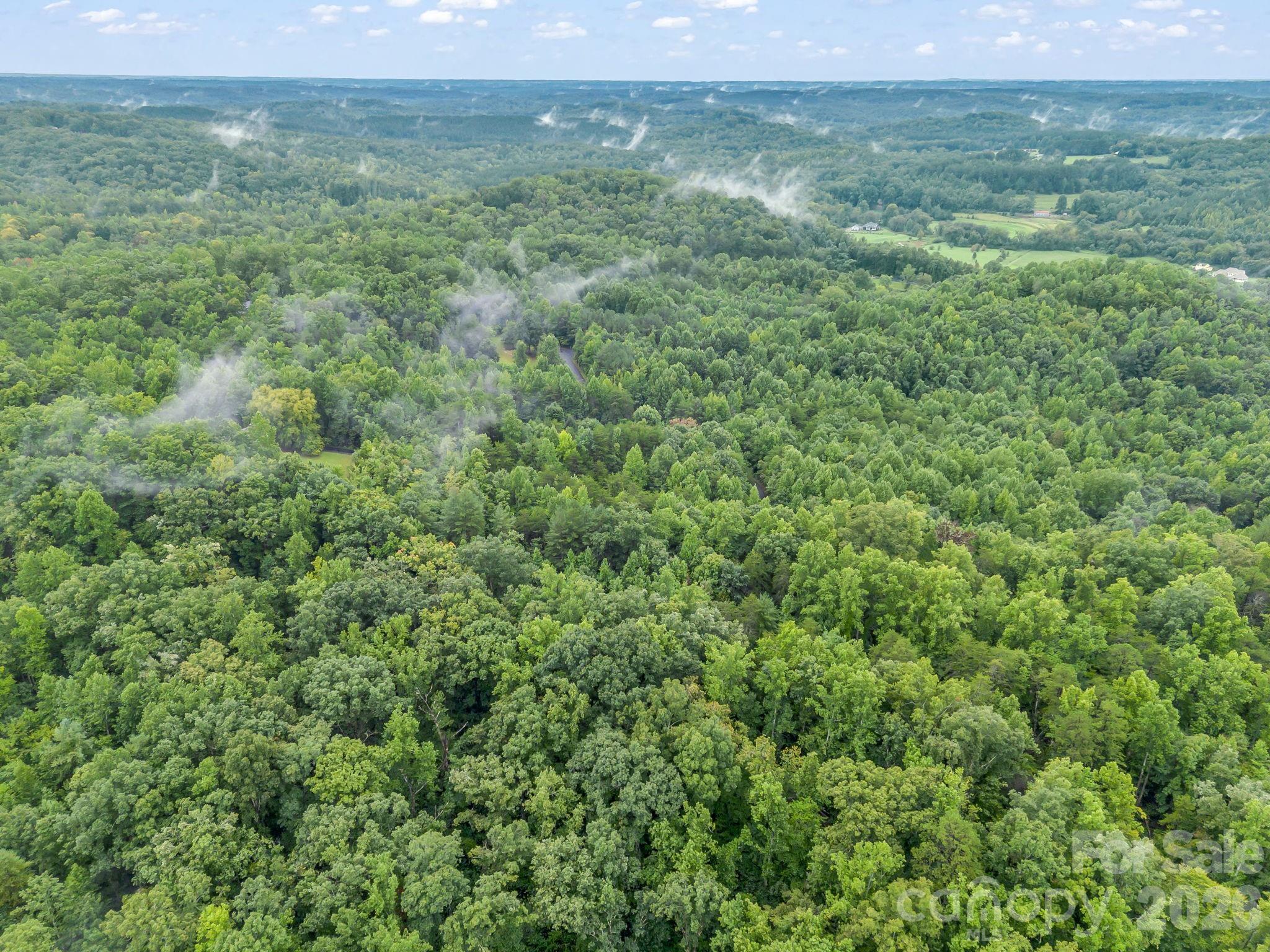 0 Observation Ridge Property Photo 14