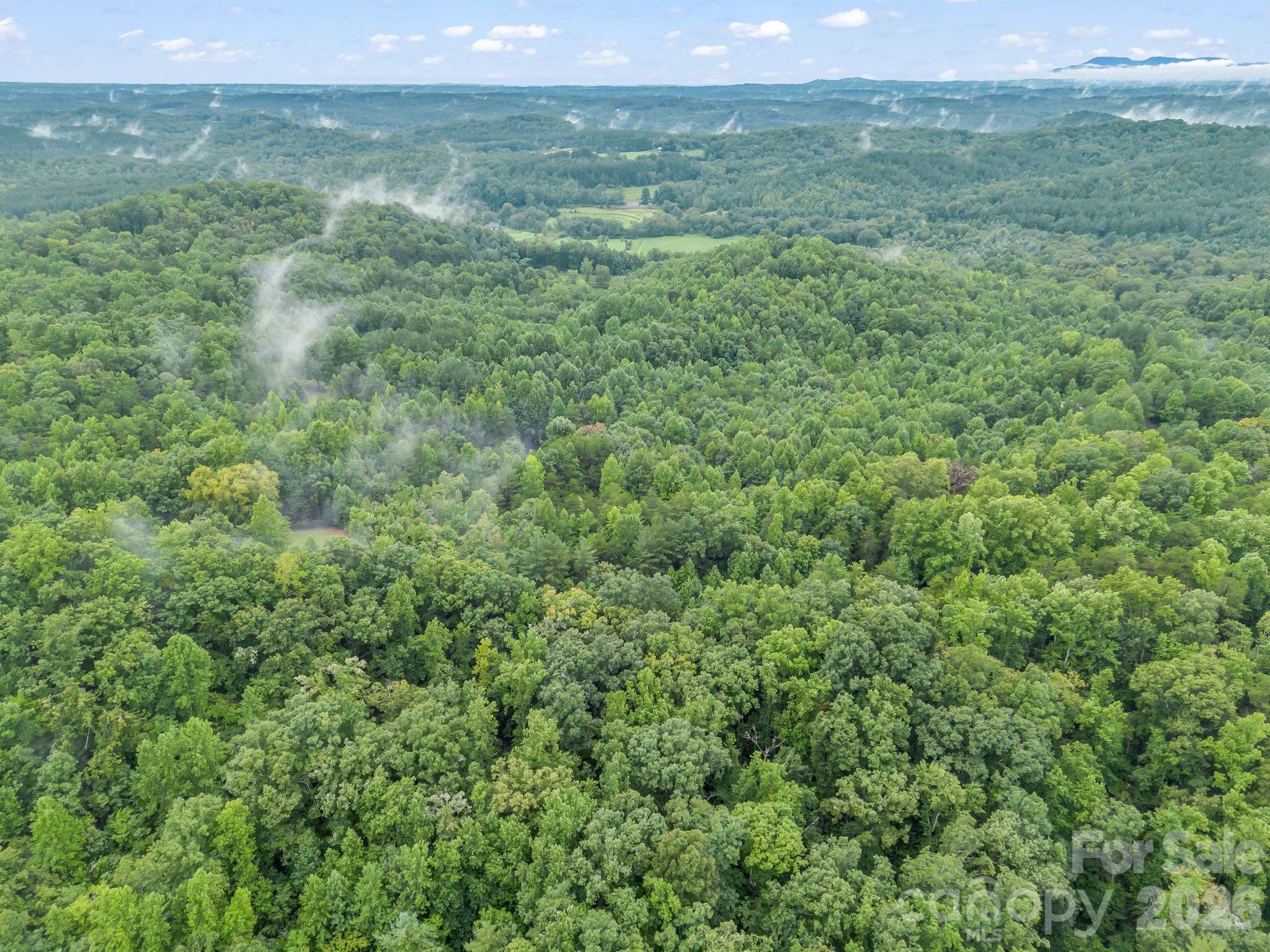 0 Observation Ridge Property Photo 15