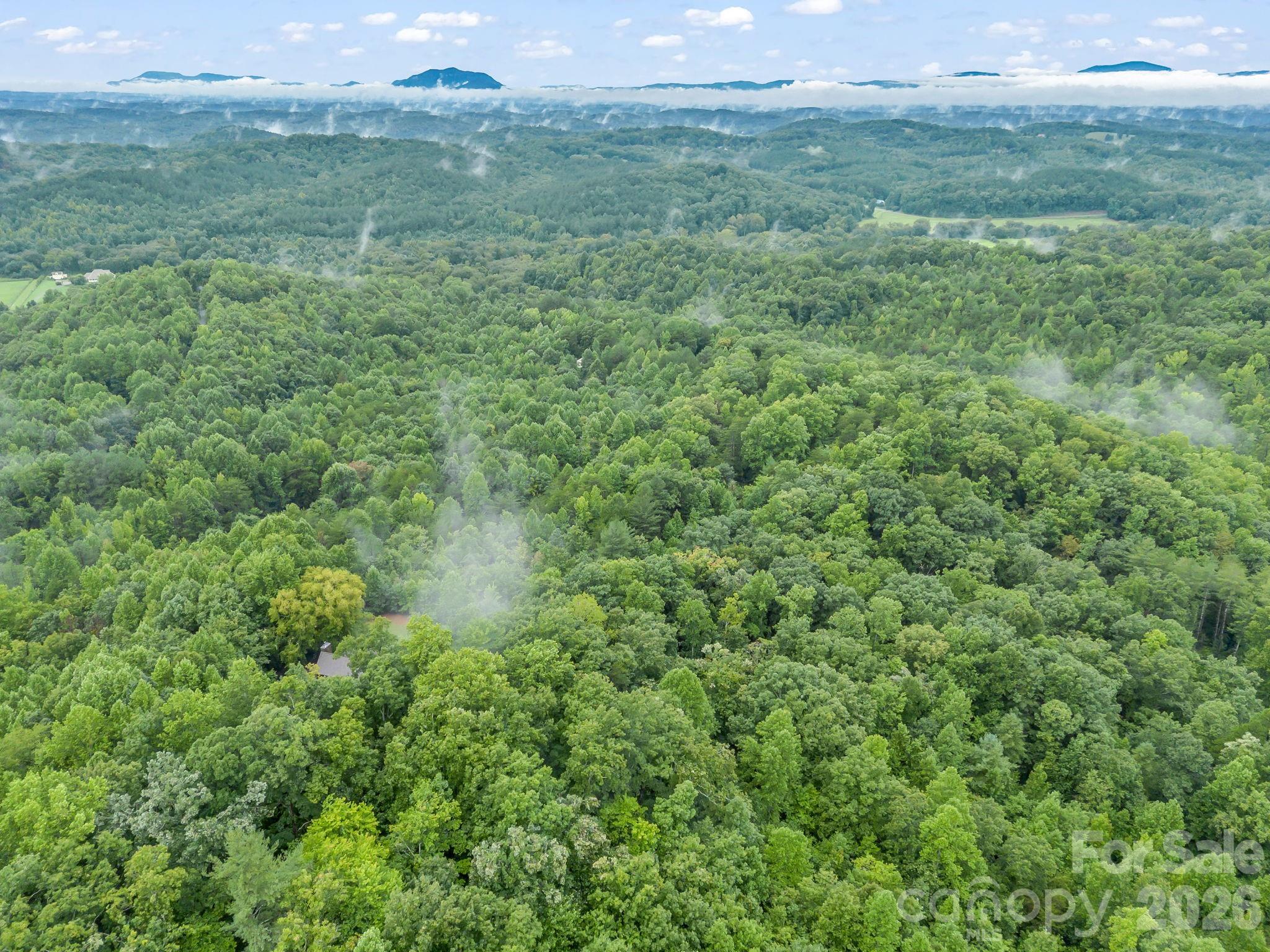 0 Observation Ridge Property Photo 16