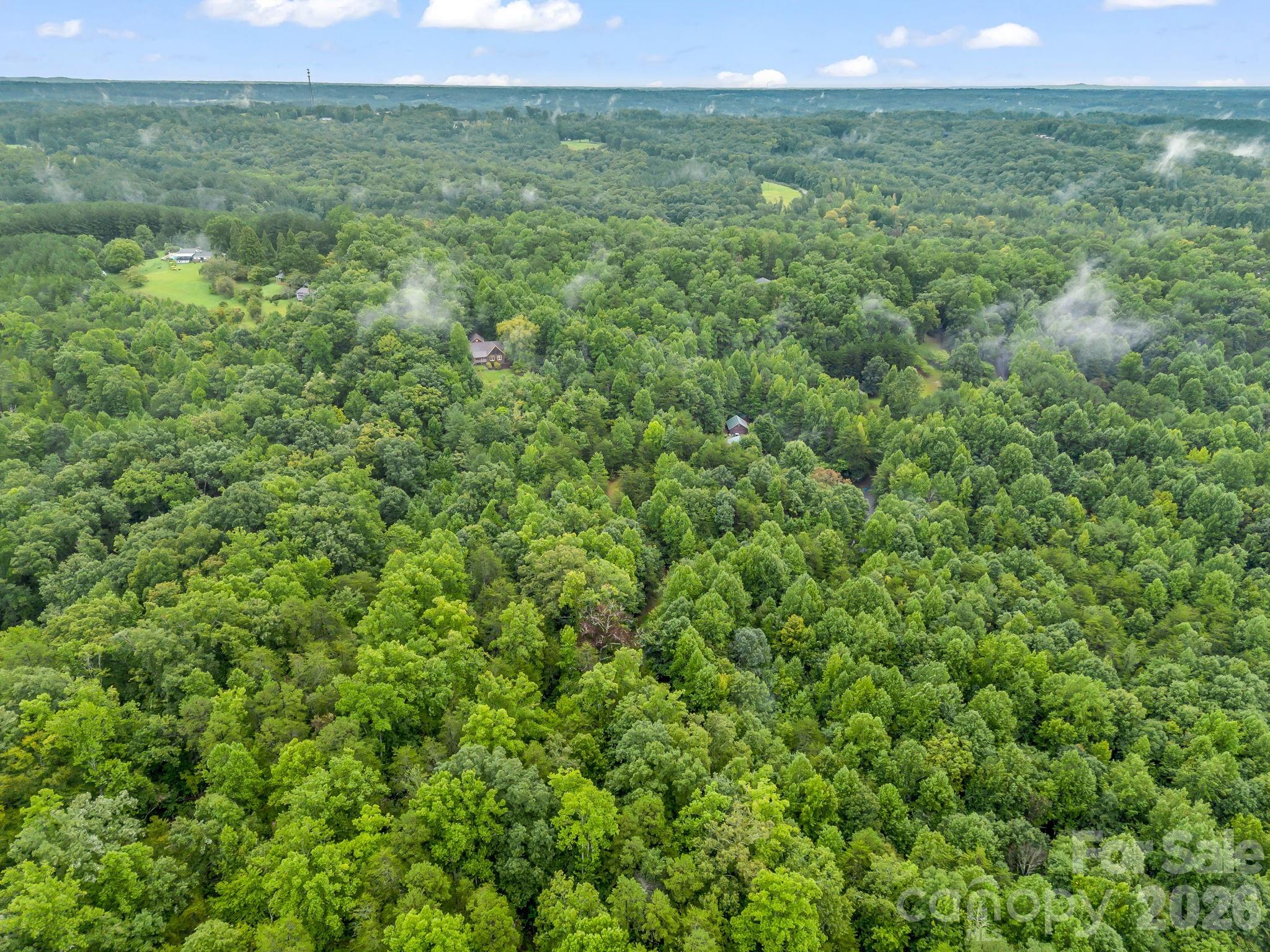 0 Observation Ridge Property Photo 19