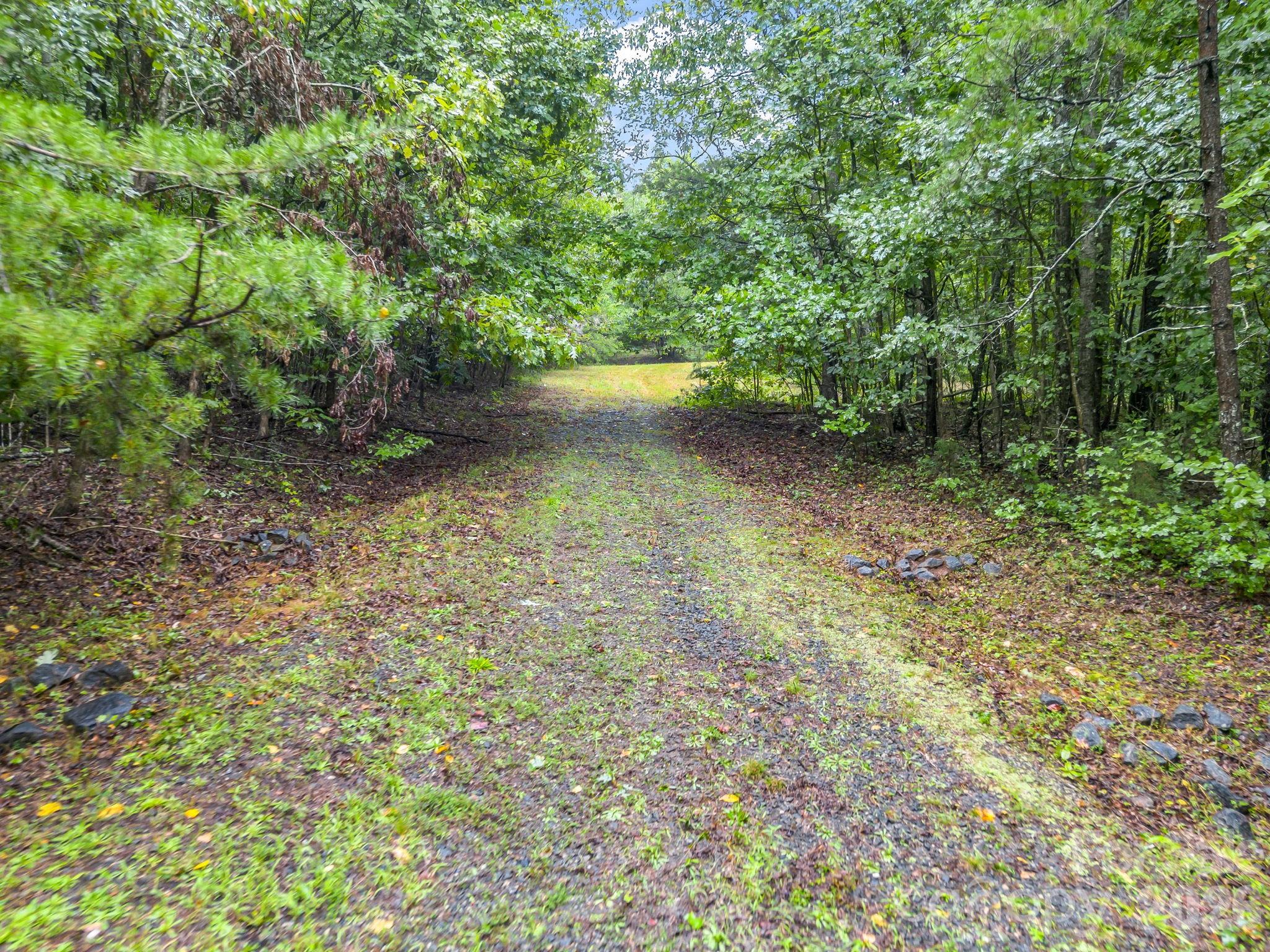 0 Observation Ridge Property Photo 24
