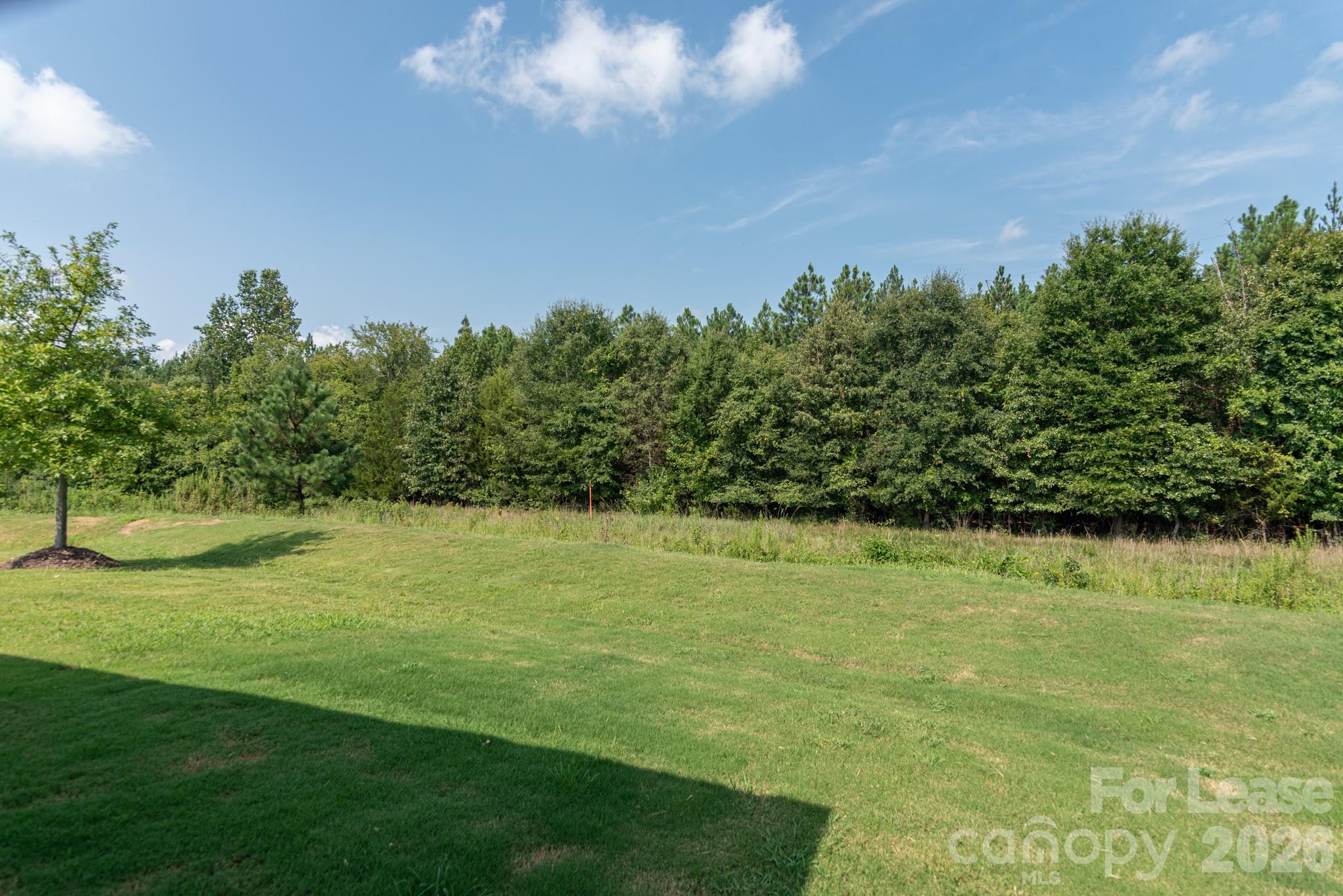 12441 Stoneybrook Station Parkway Property Photo 23