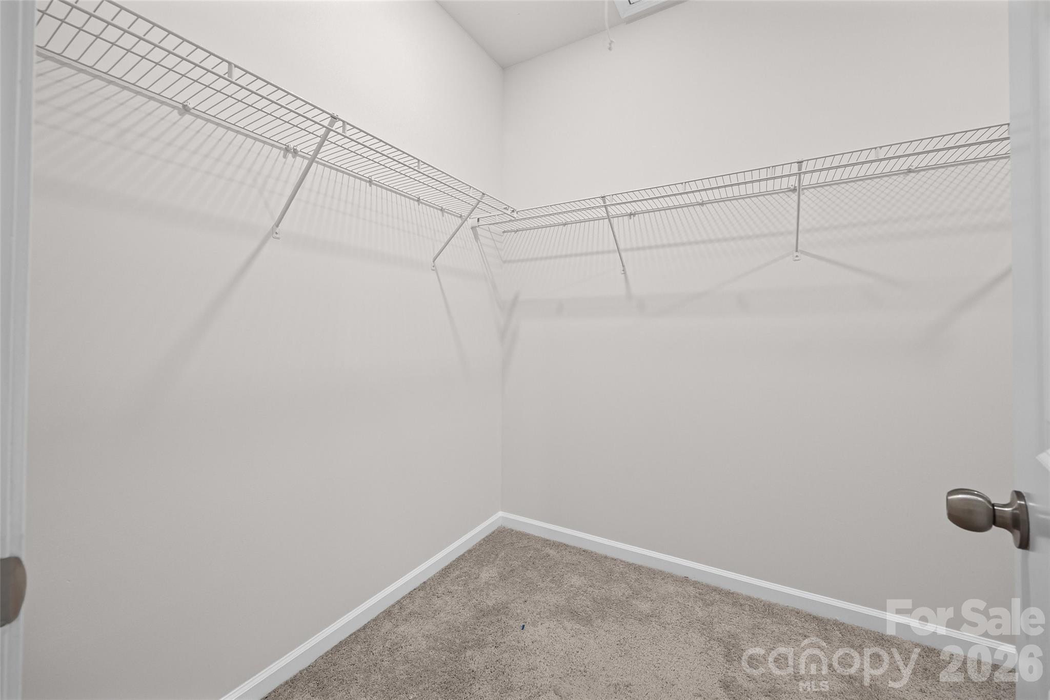 3036 Bluff Hill Lane Property Photo 34