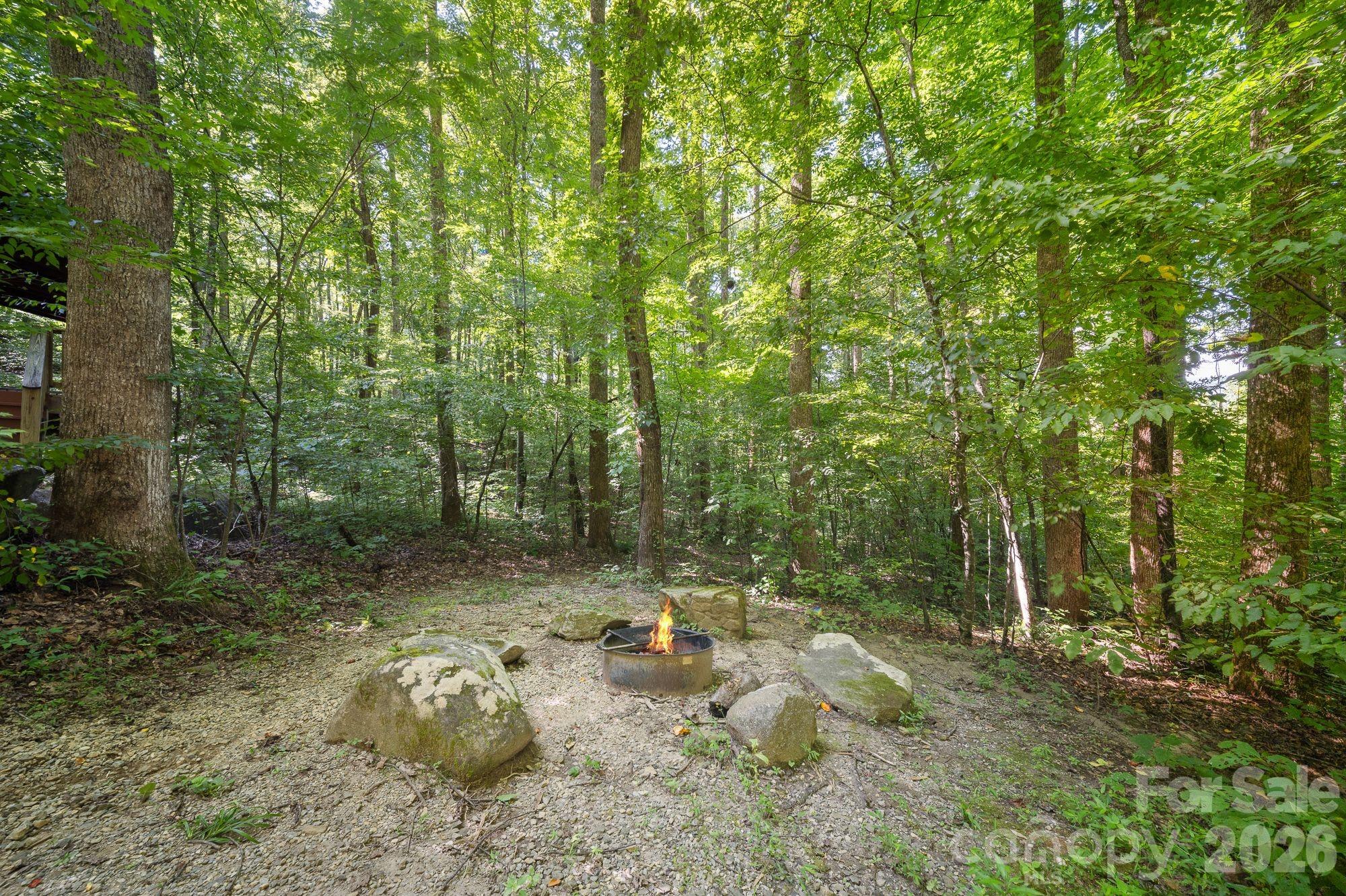 504 Mountain View School Road Property Photo 24