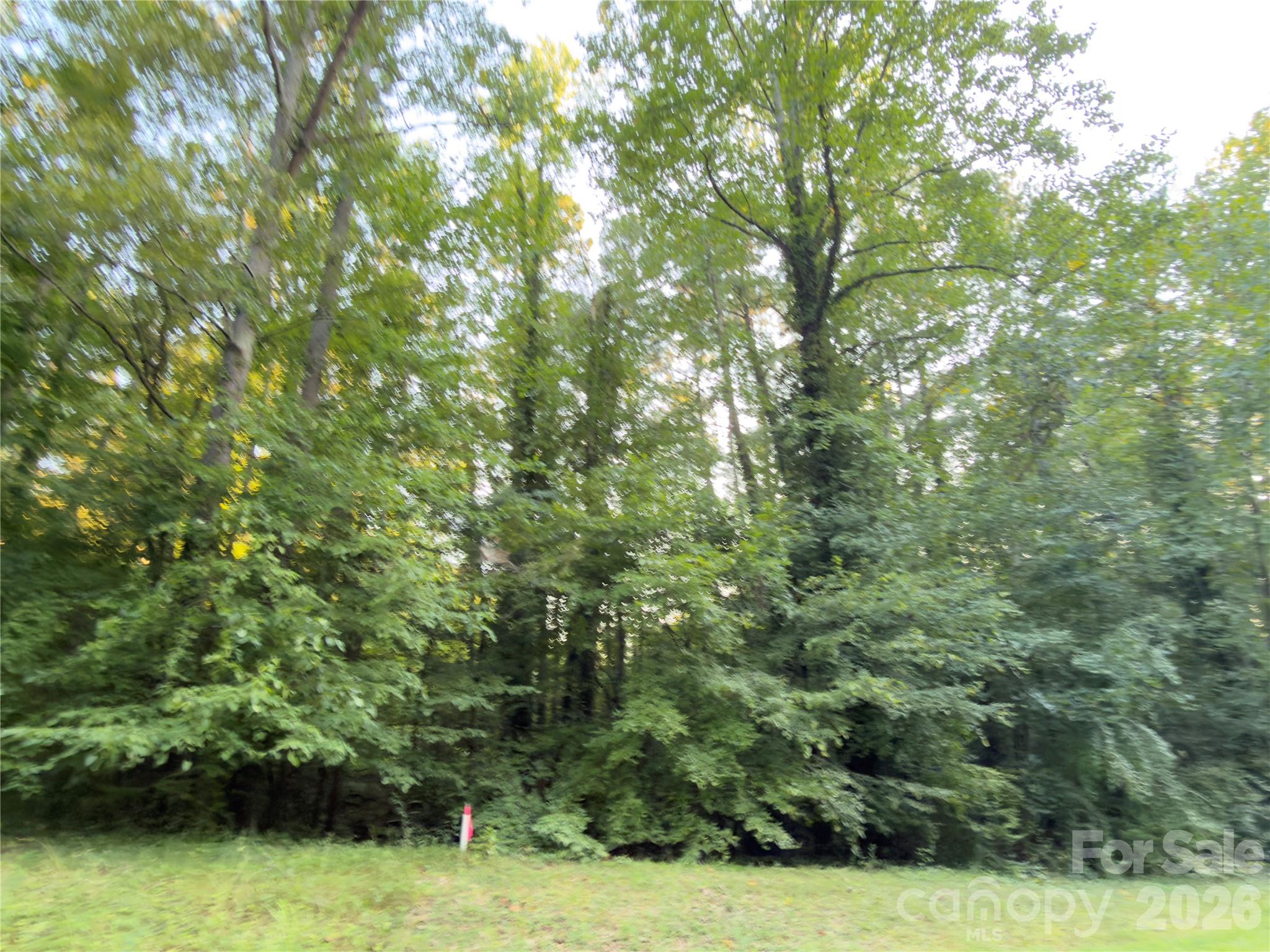 0 Bonanza Drive Property Photo 1