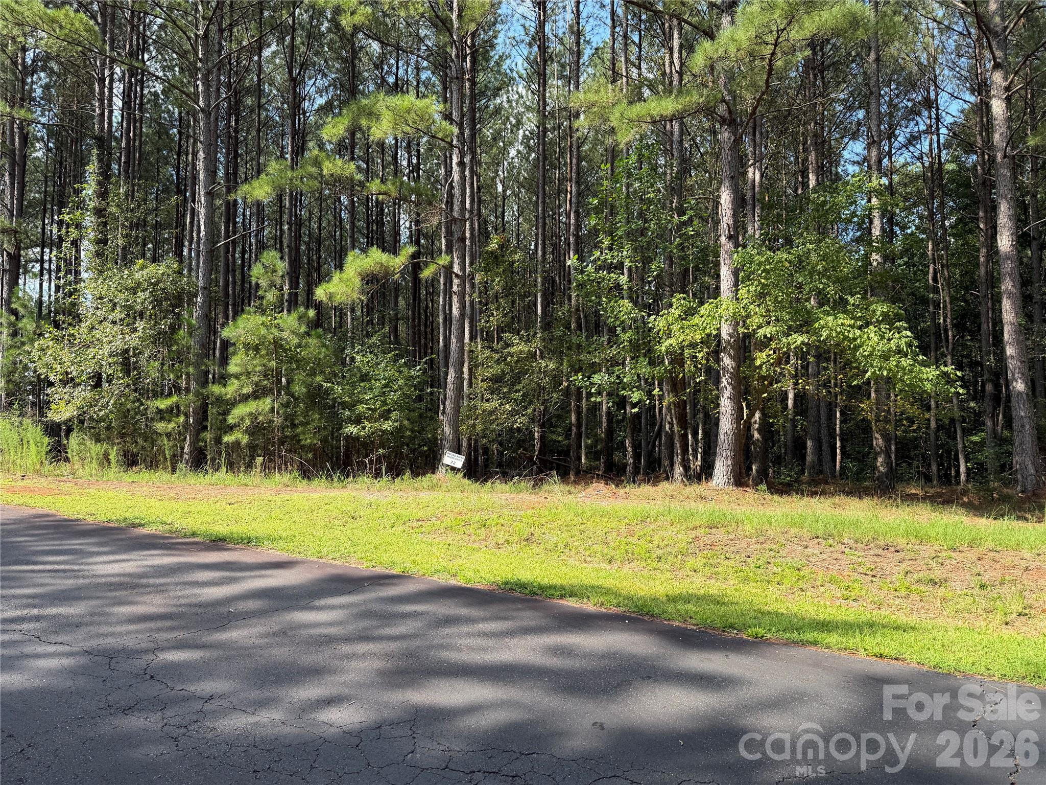 151 Whispering Pines Lane Property Photo 4