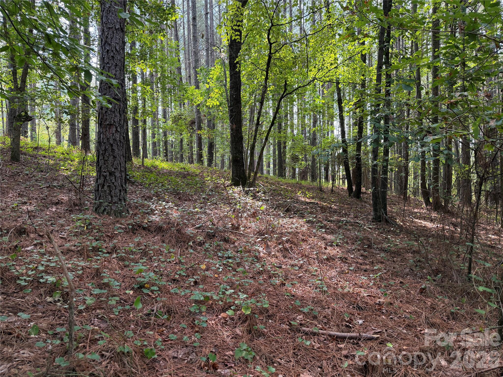 151 Whispering Pines Lane Property Photo 7