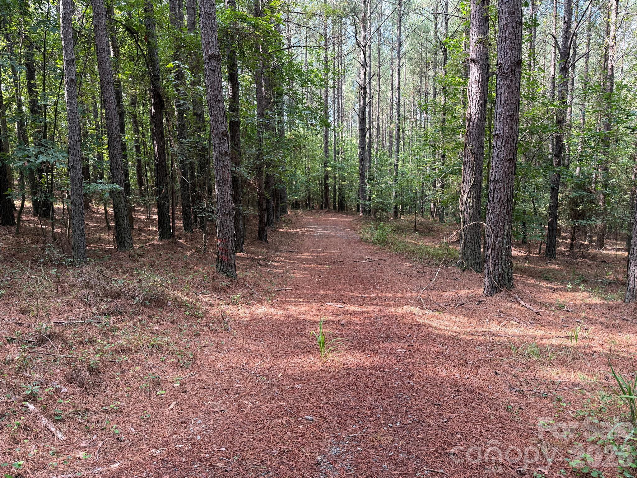151 Whispering Pines Lane Property Photo 8