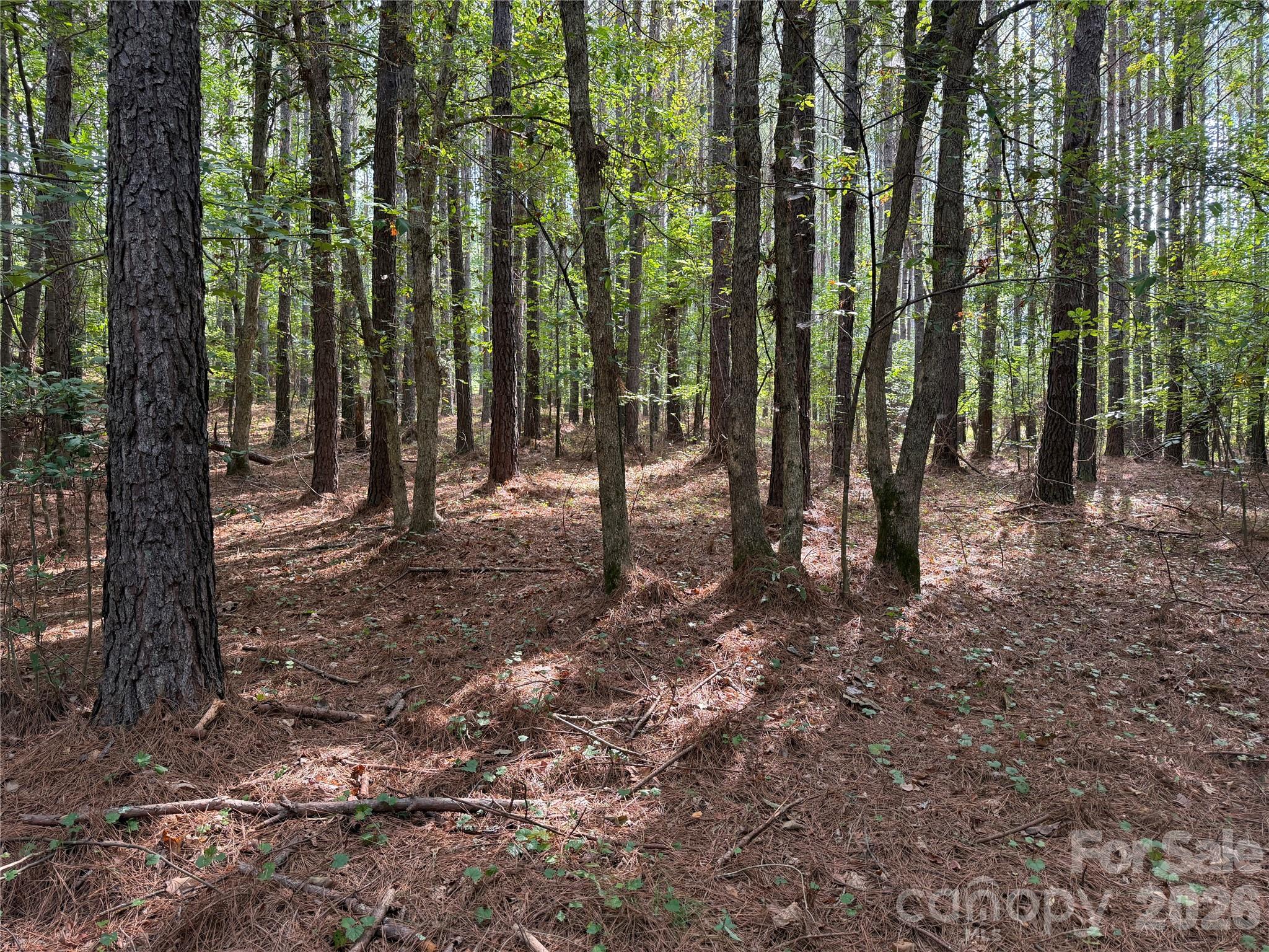 151 Whispering Pines Lane Property Photo 9