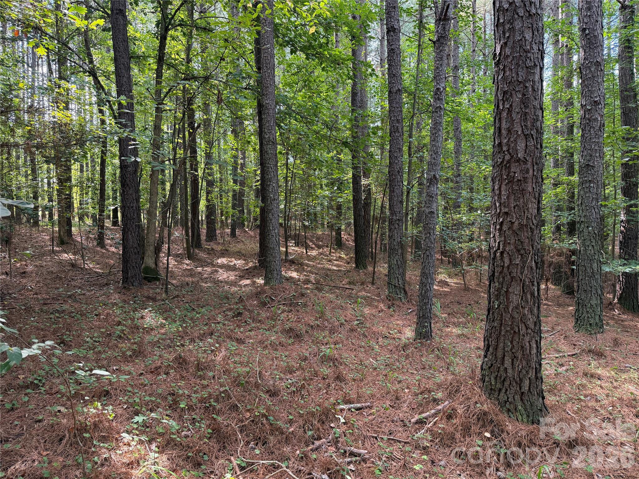 151 Whispering Pines Lane Property Photo 10